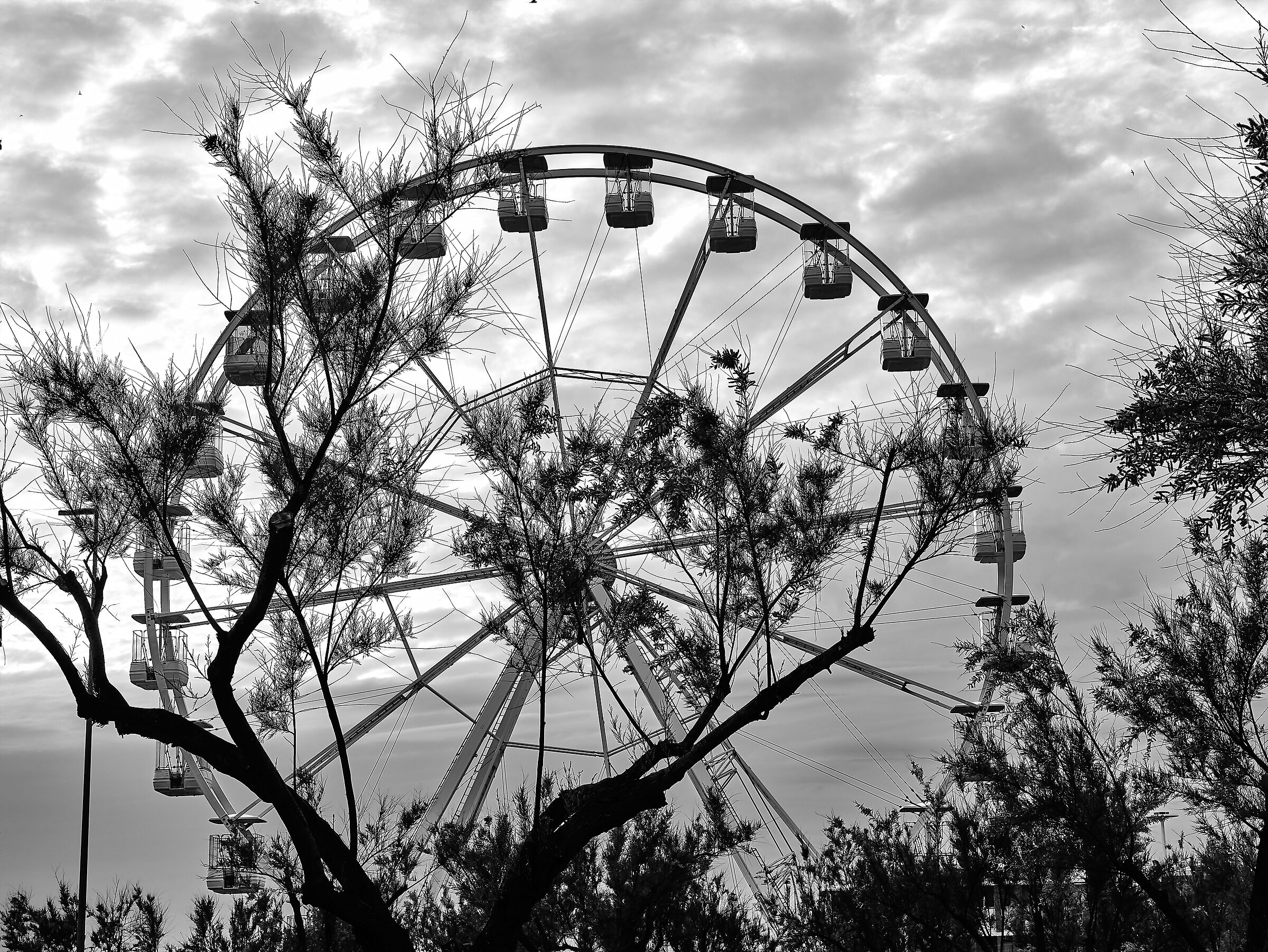 Ruota panoramica tra gli alberi
