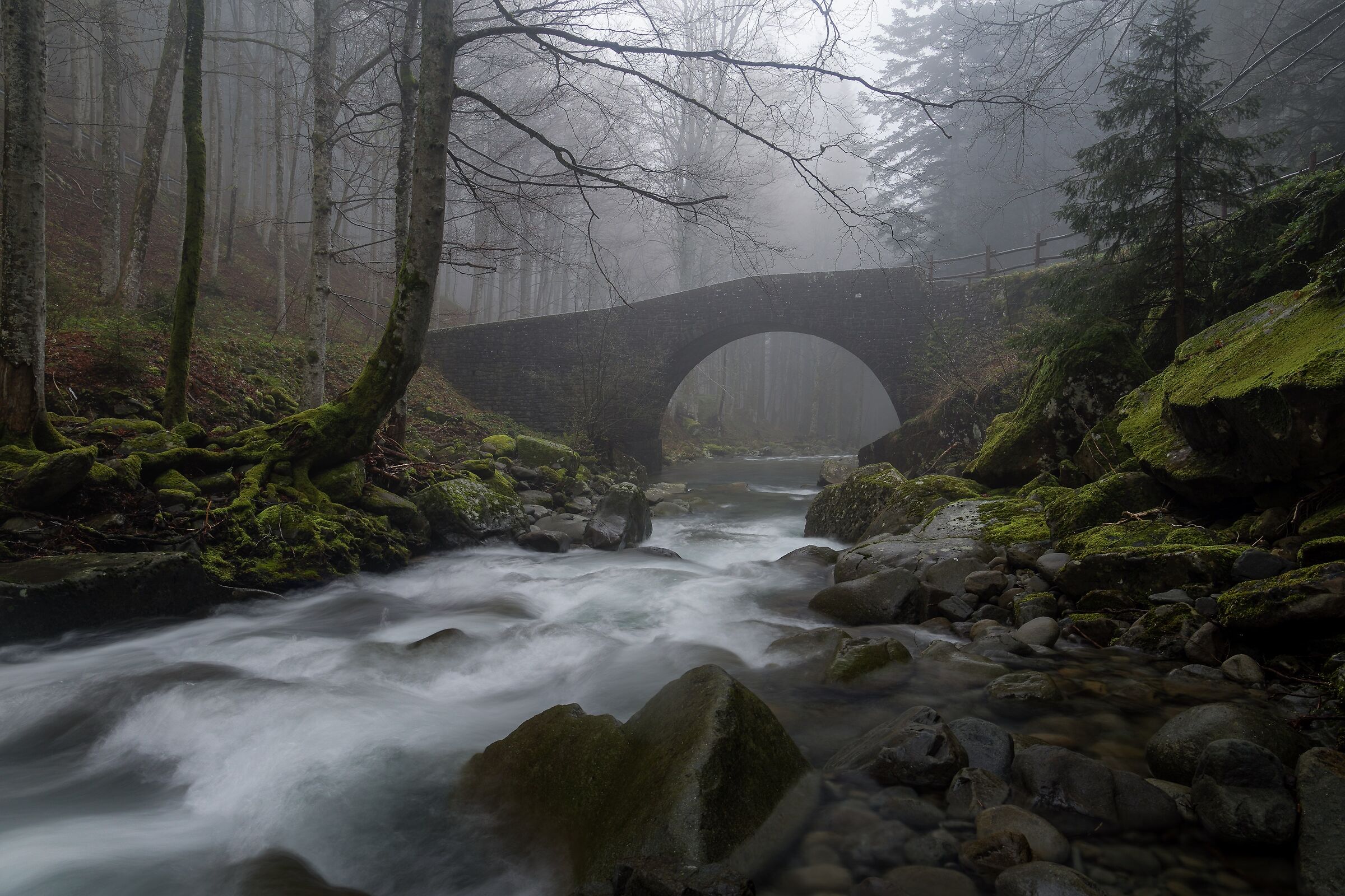 The old bridge