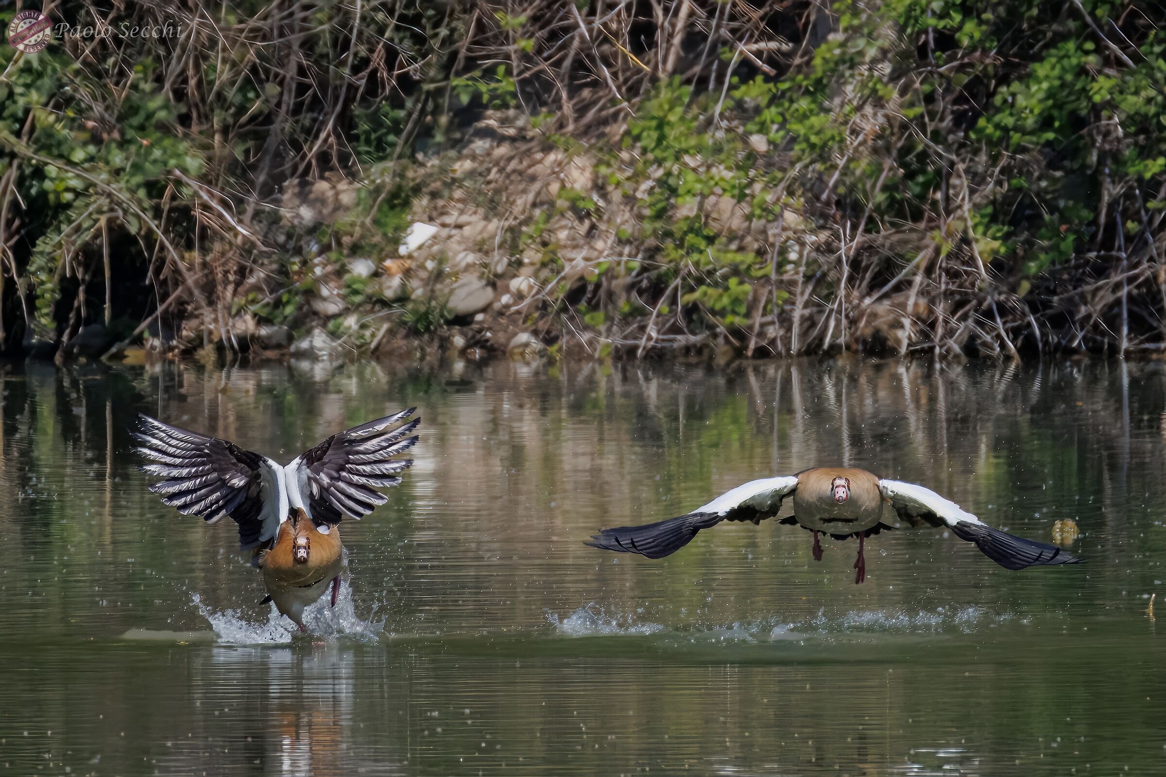 Parallel take-off