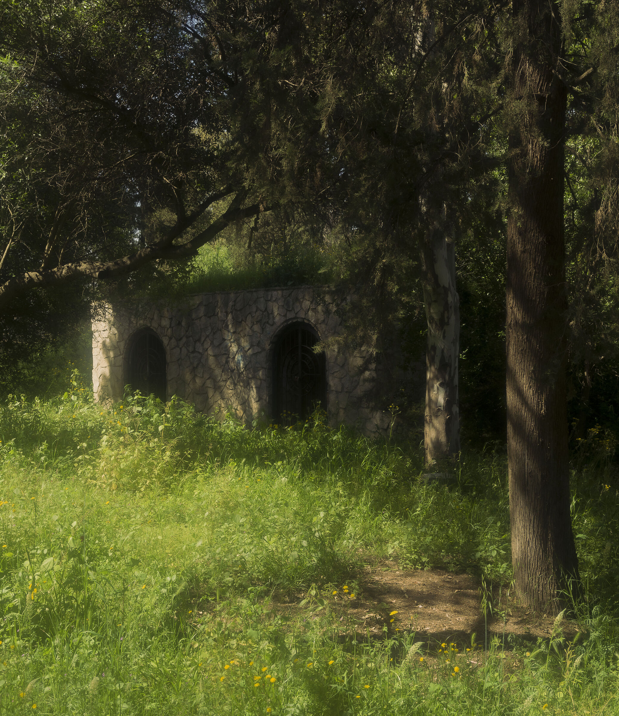 City Forest