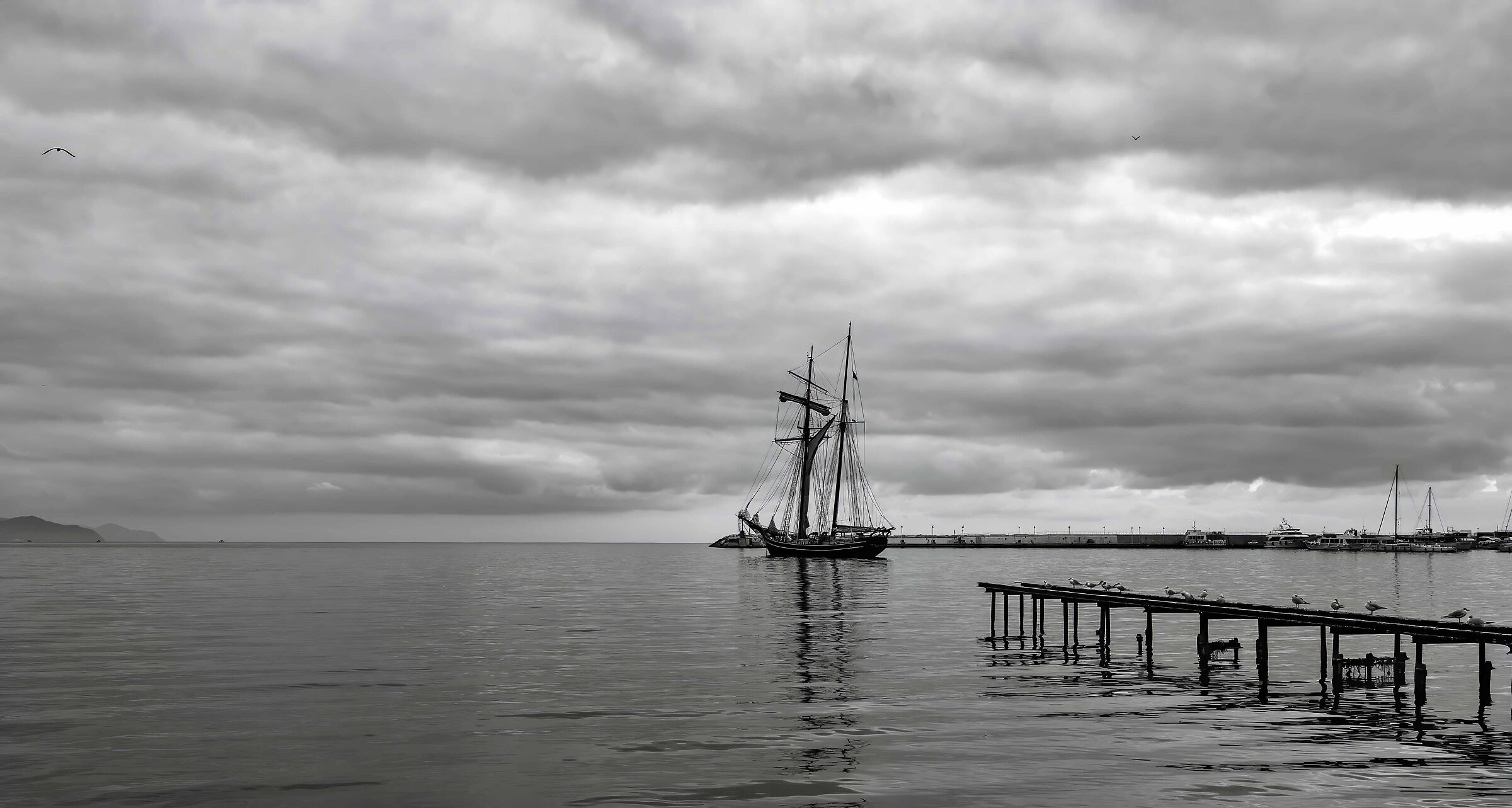 I gabbiani e la goletta