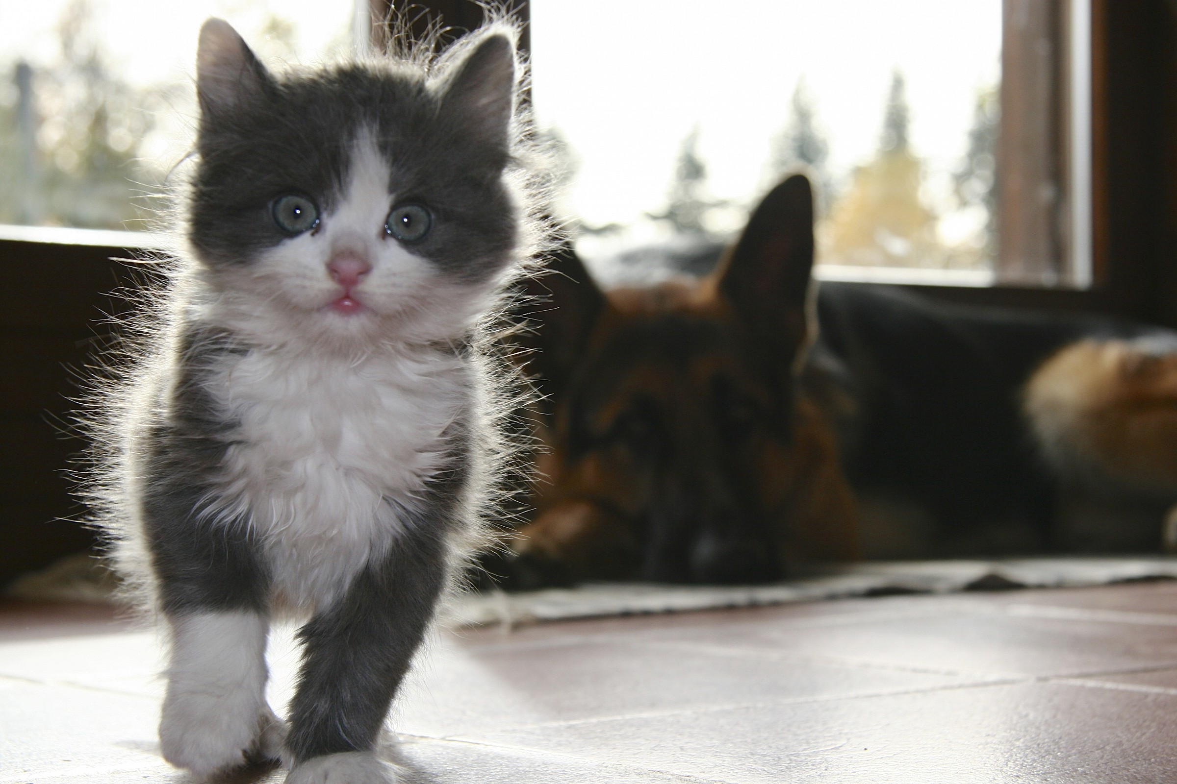 Il vecchio e il bambino