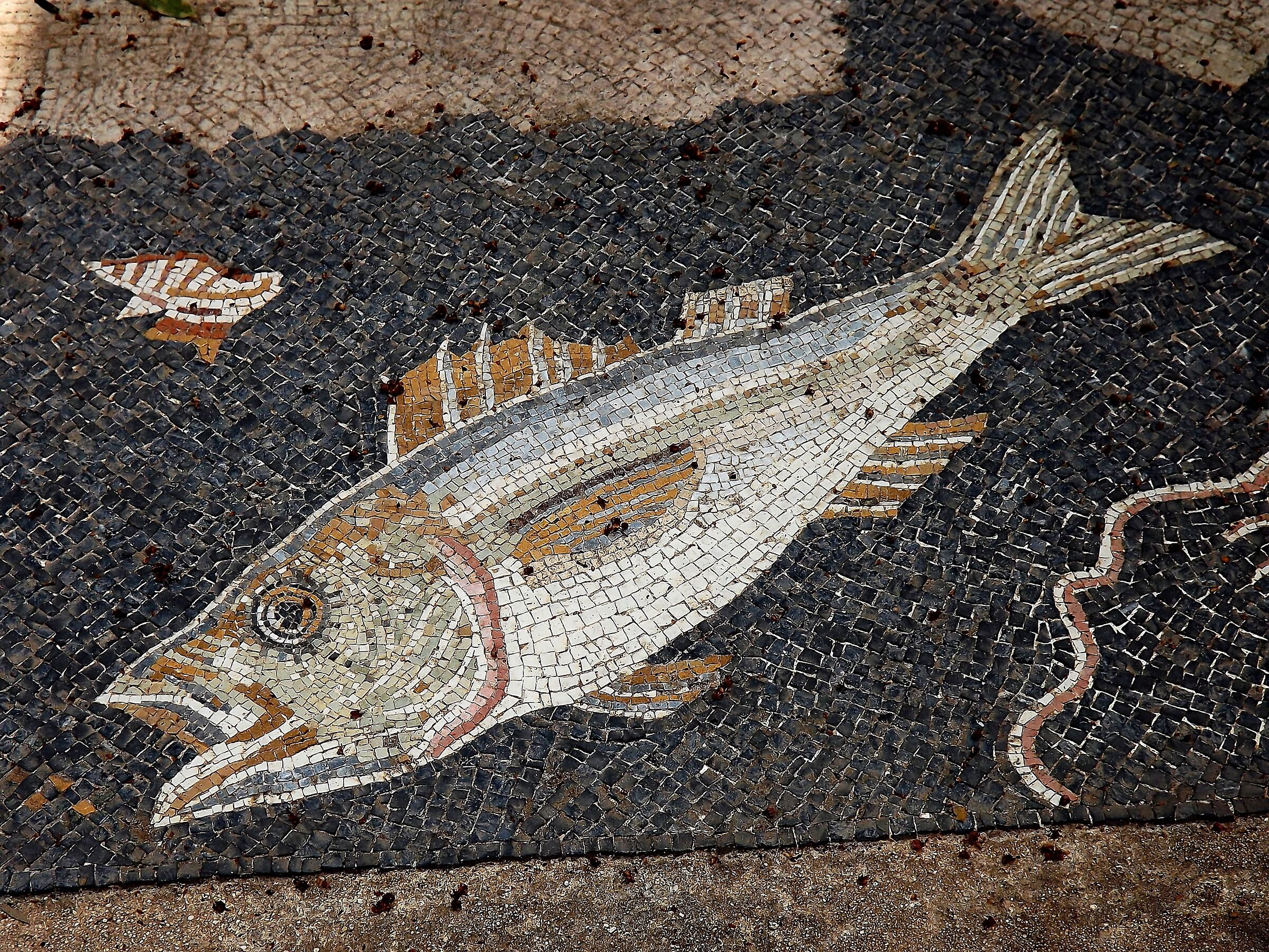 Acropolis of Populonia 2