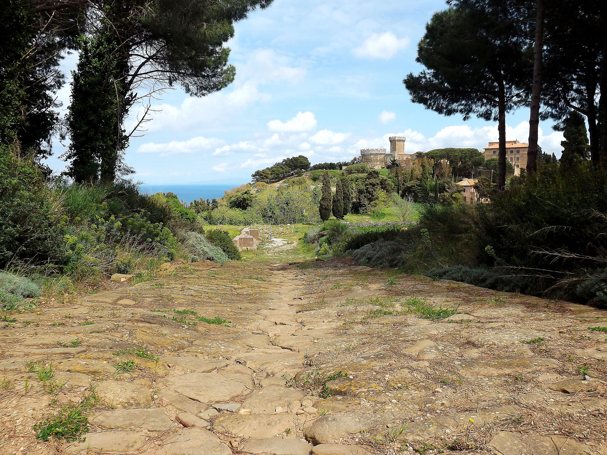 Acropolis of Populonia 4