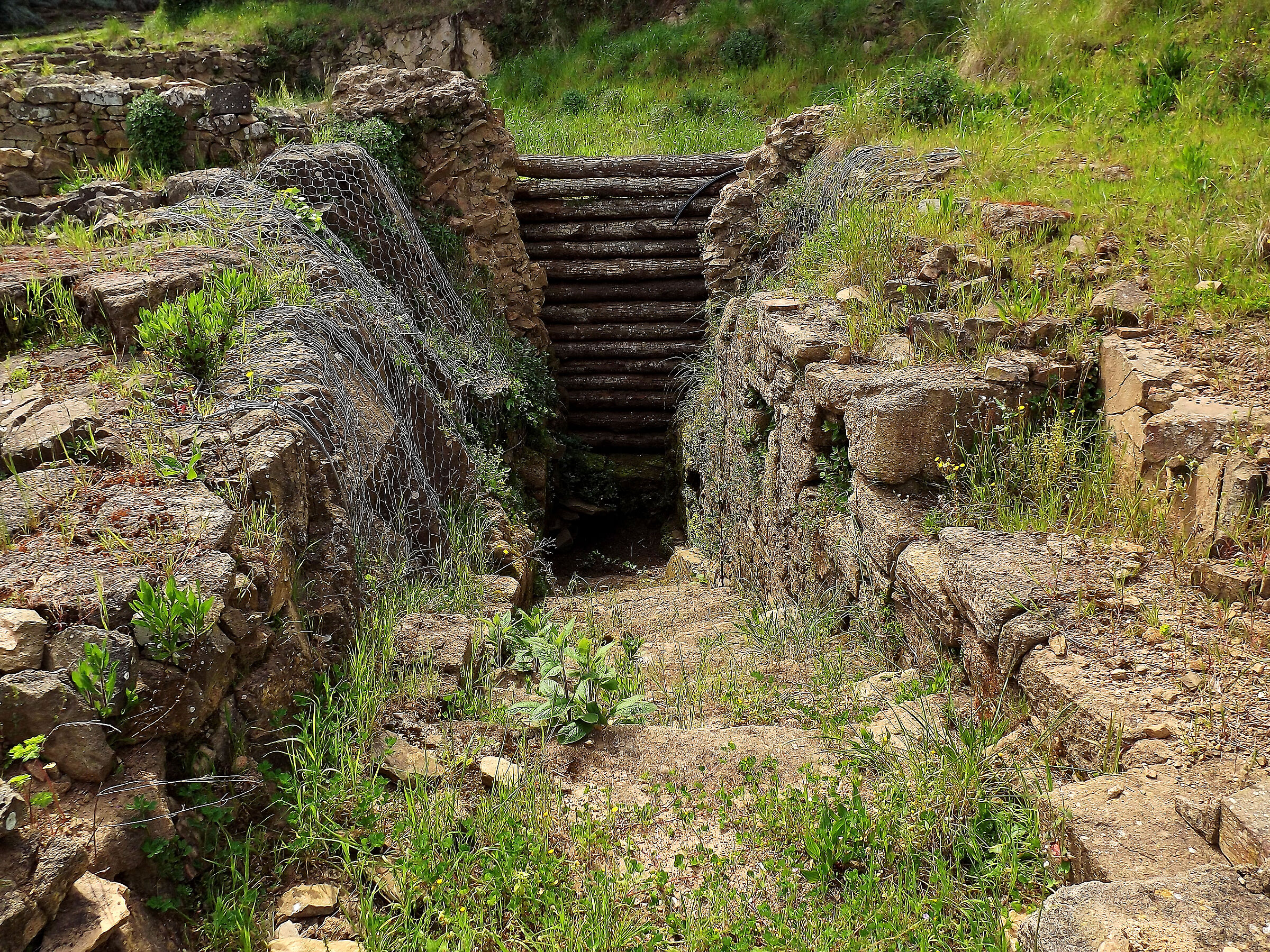 Acropolis of Populonia 5