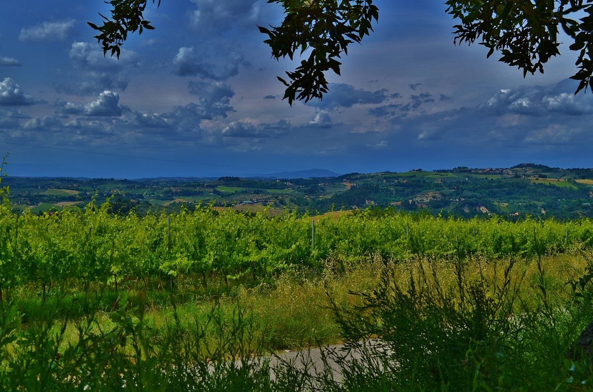 veduta toscana