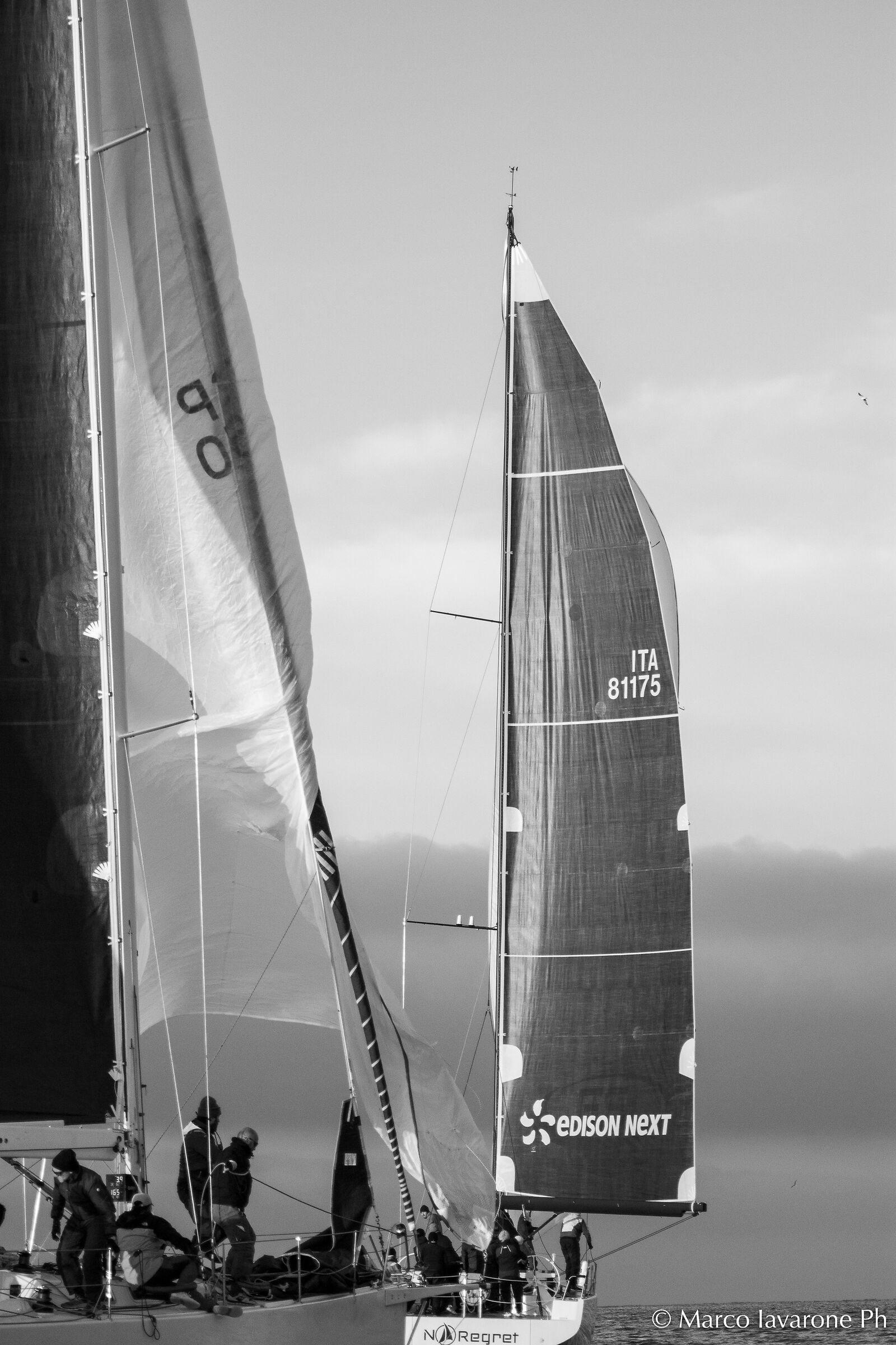 ITA811175 Owner: F. Egidi