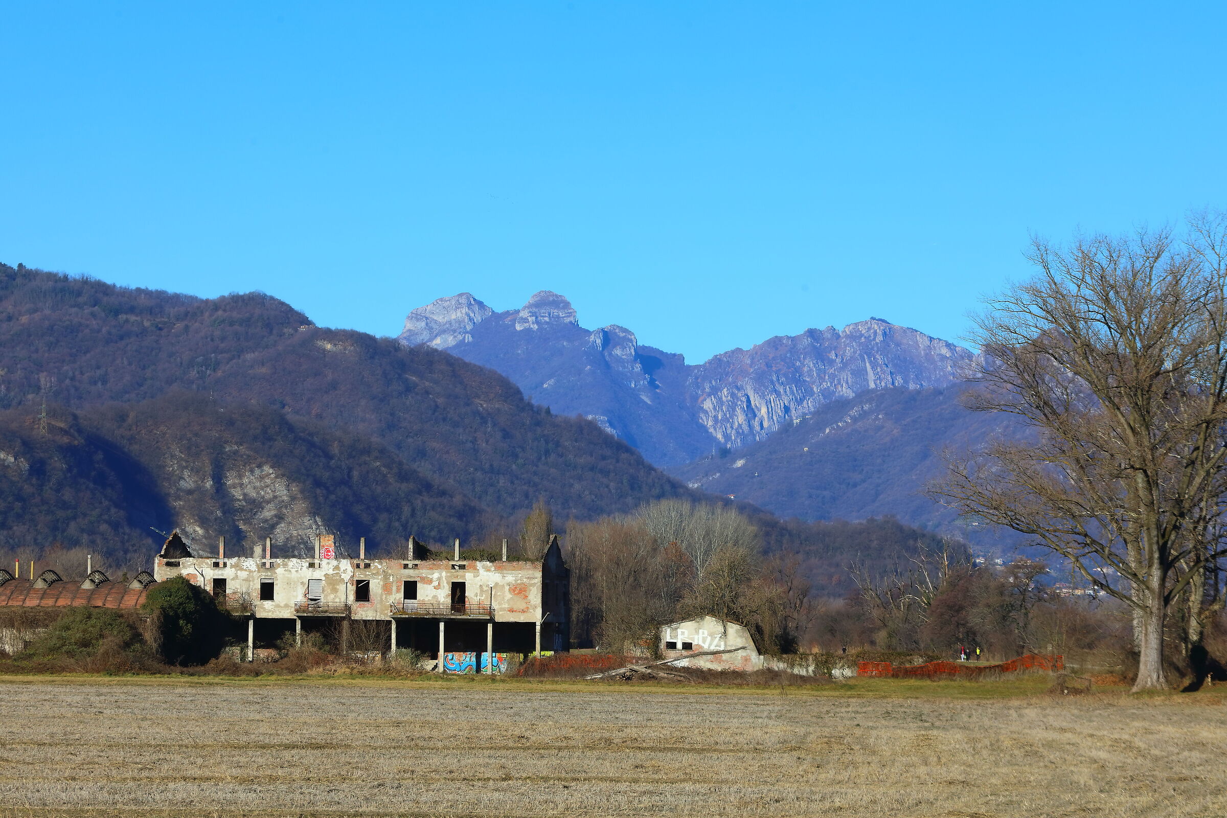 Panorama 03 gennaio 2025 - 0038