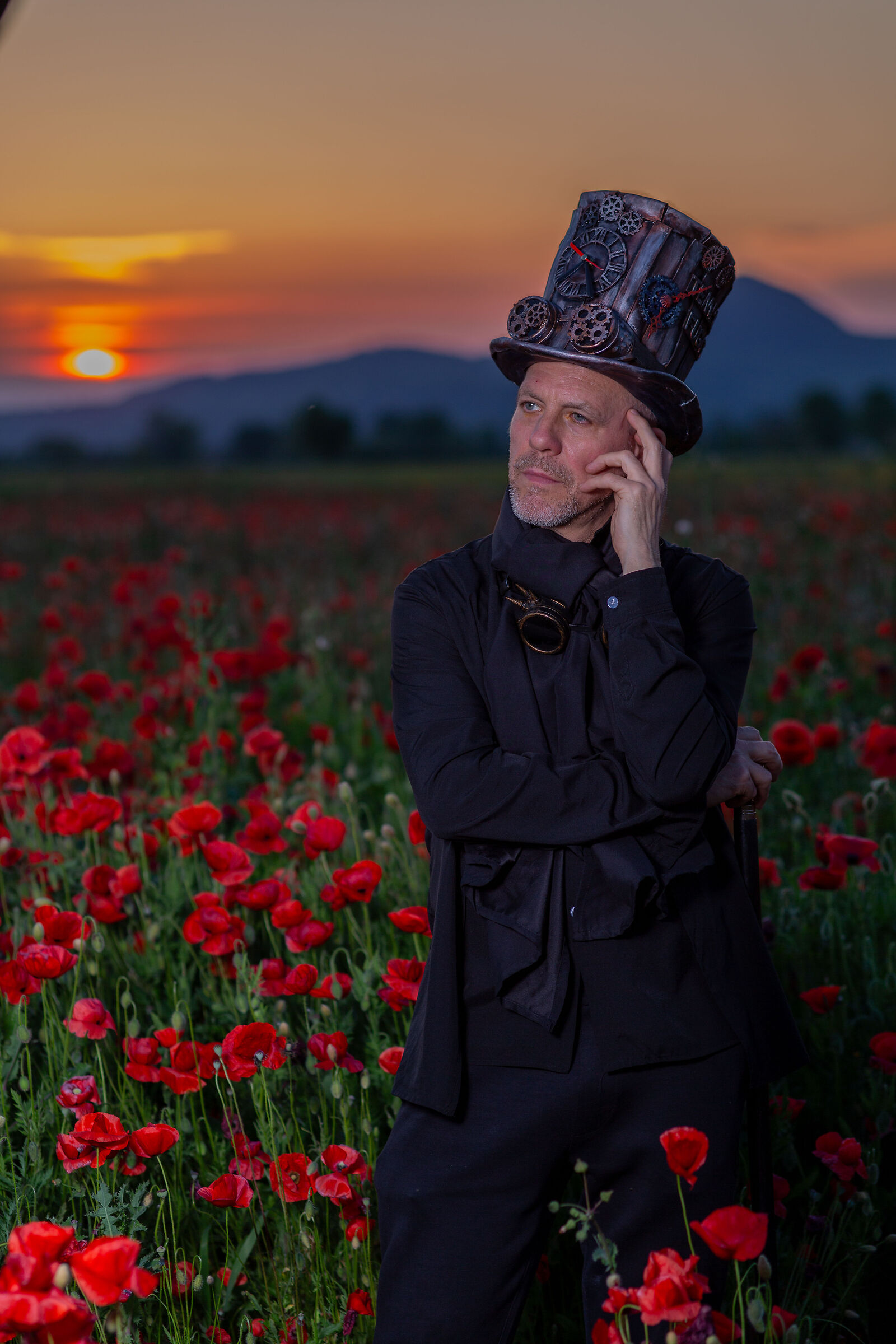 Il mare dei papaveri