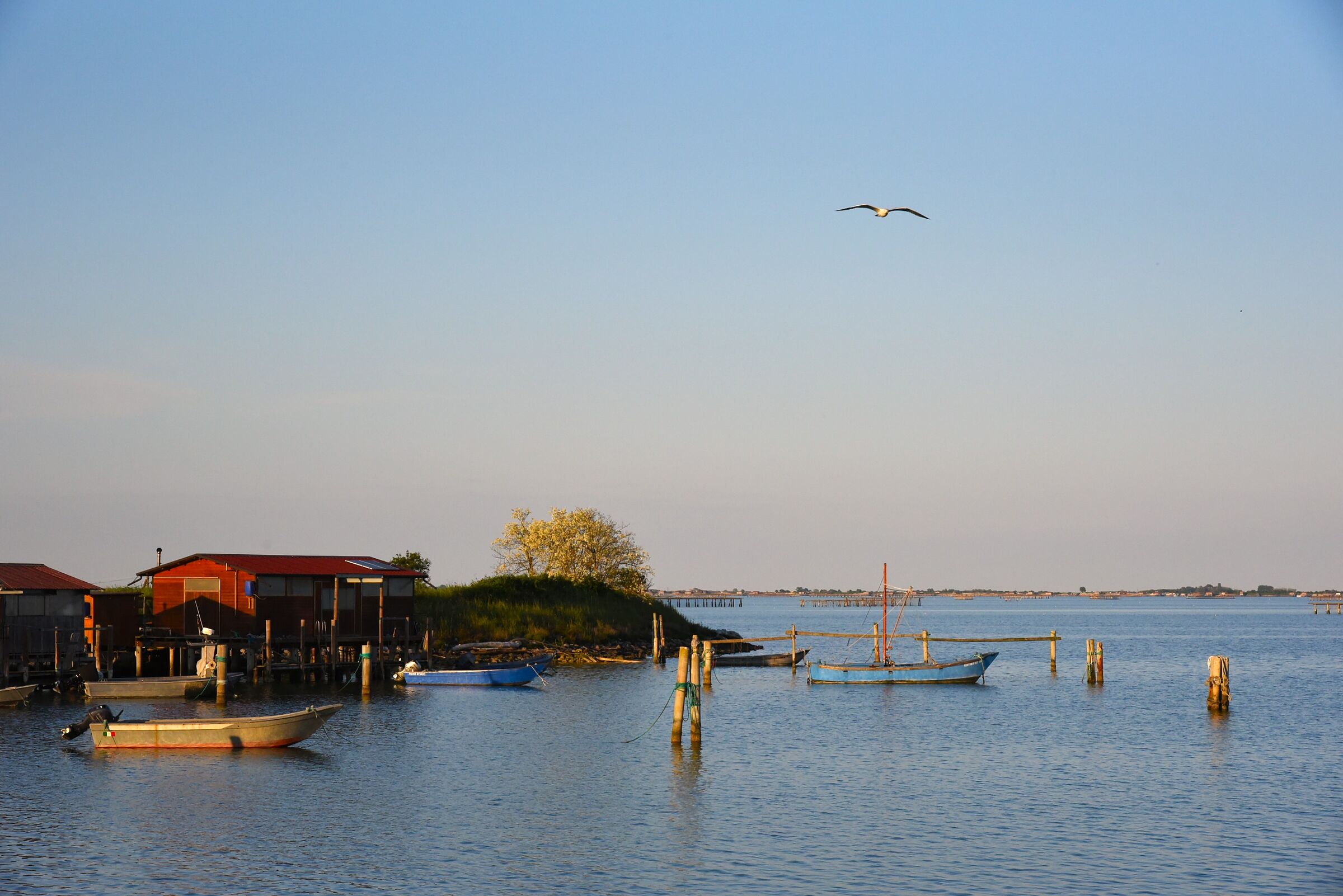 Picturesque Po Delta ...