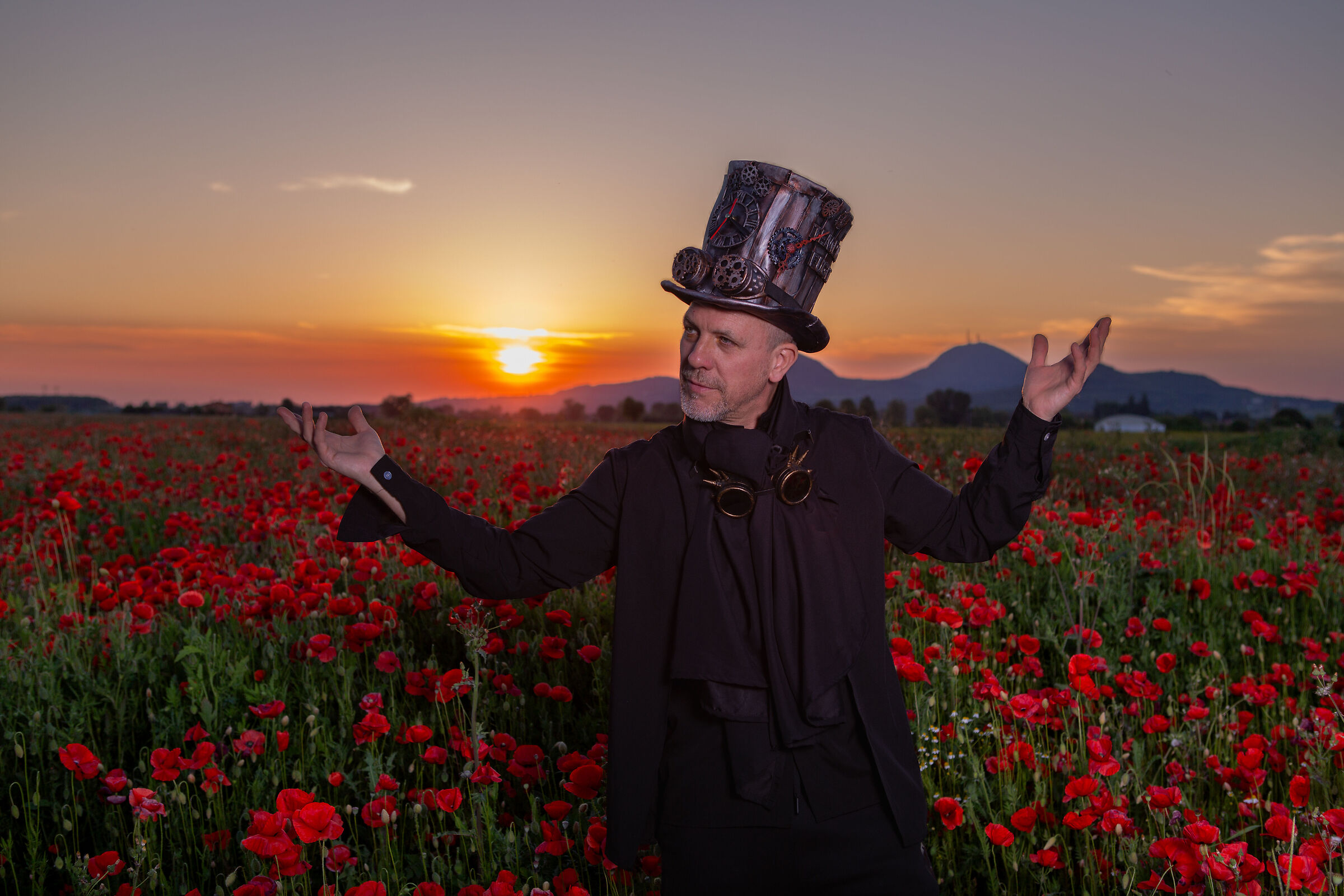 Il mare di papaveri 2