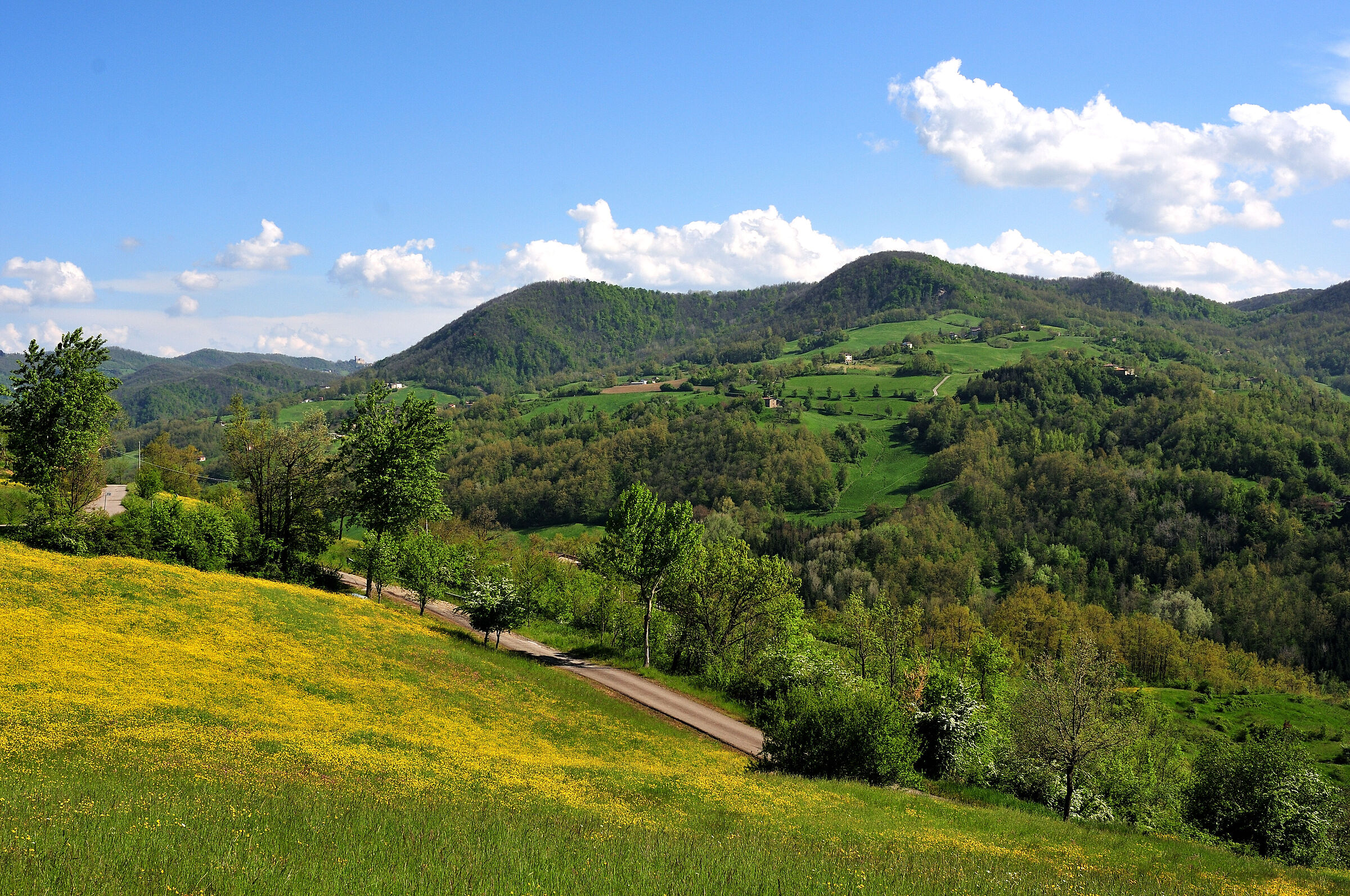 Modena Apennines 3