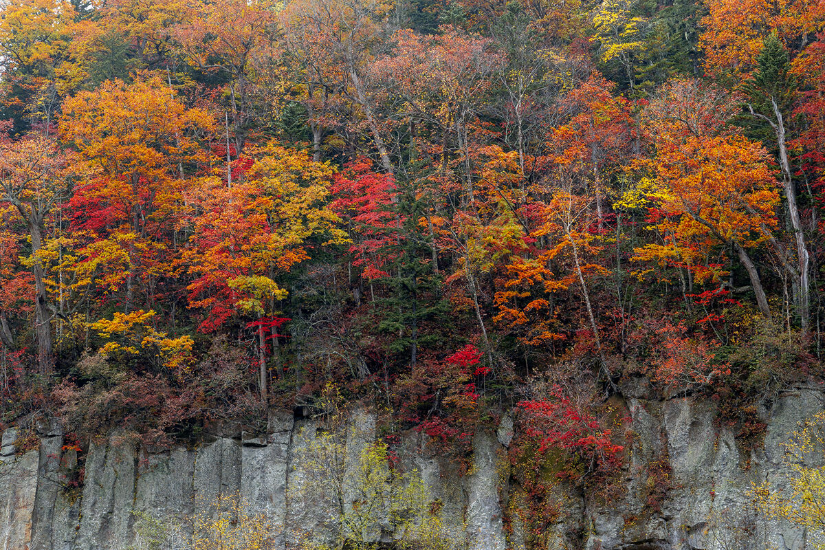 Fall in Hokkaido