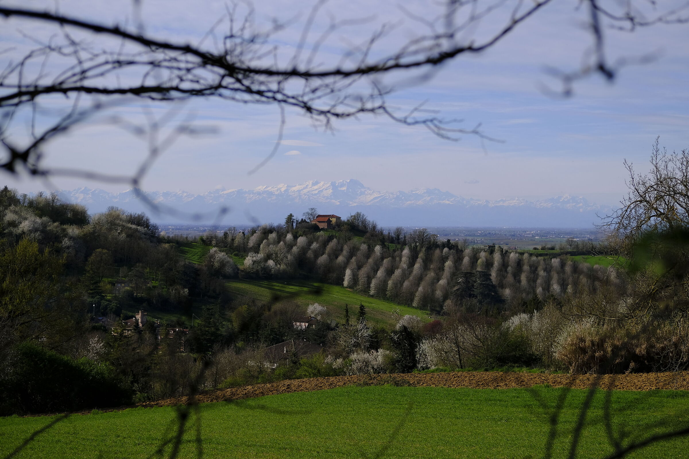 Glimpse nearby