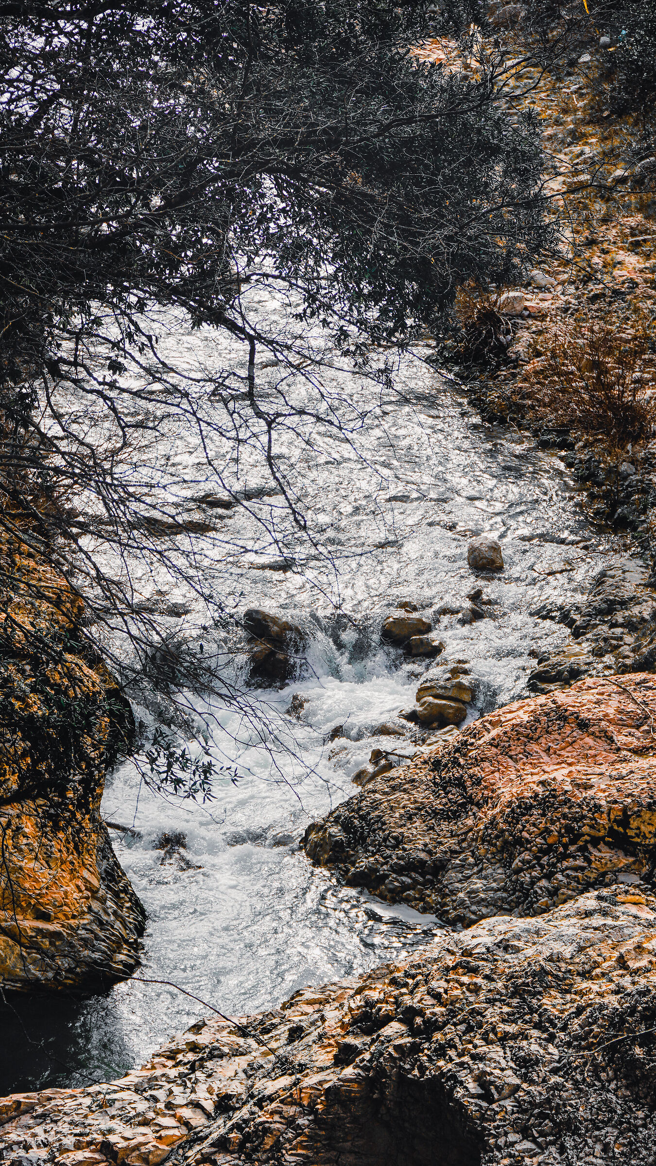 The stream