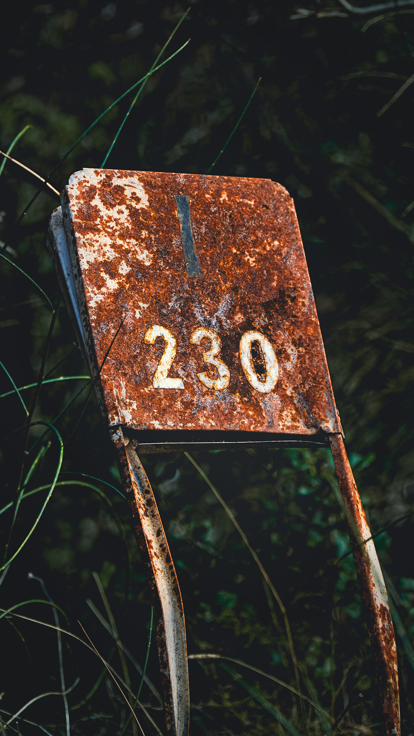 The last sign