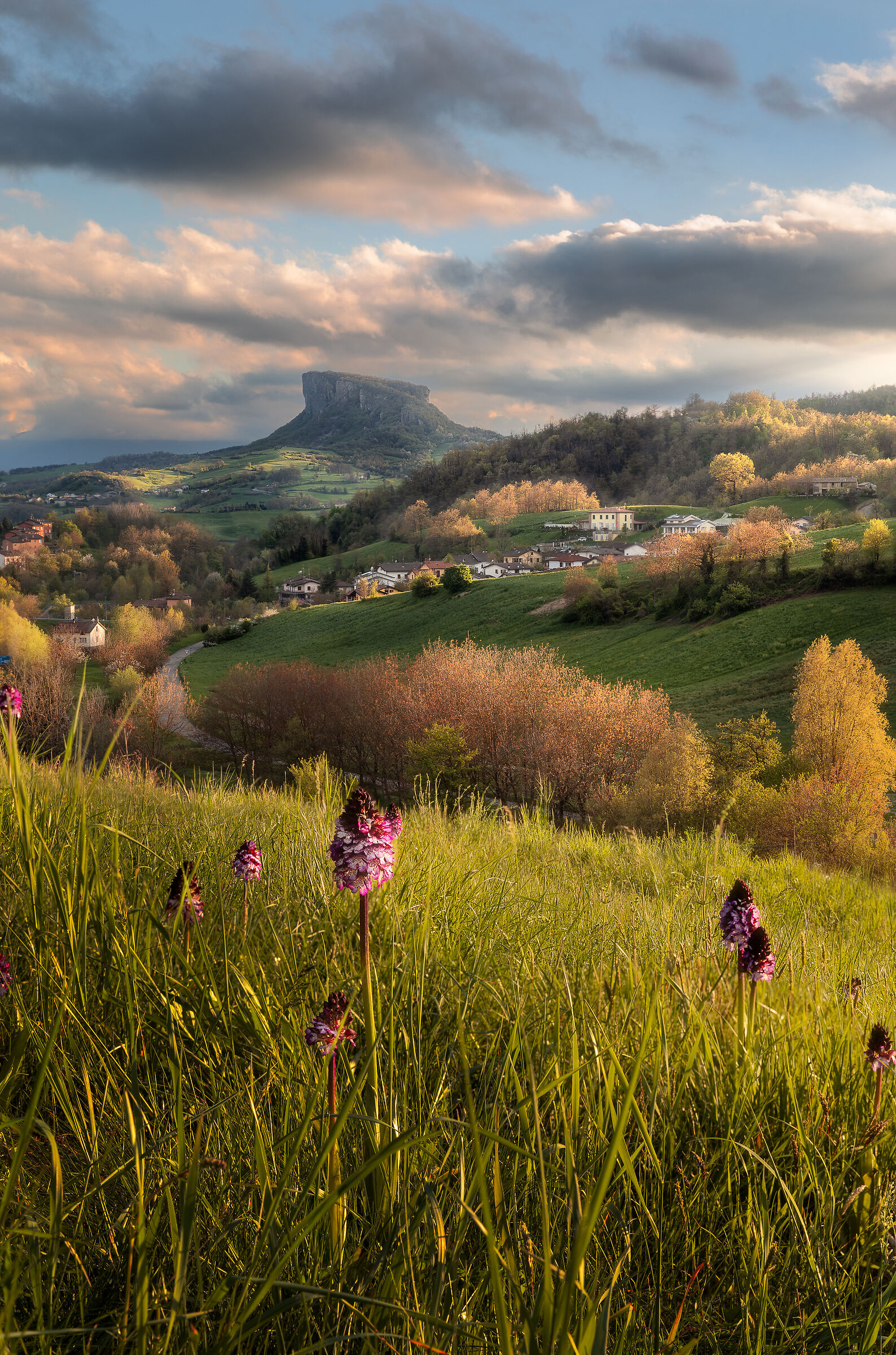 Ci sono sempre fiori per chi vuole vederli