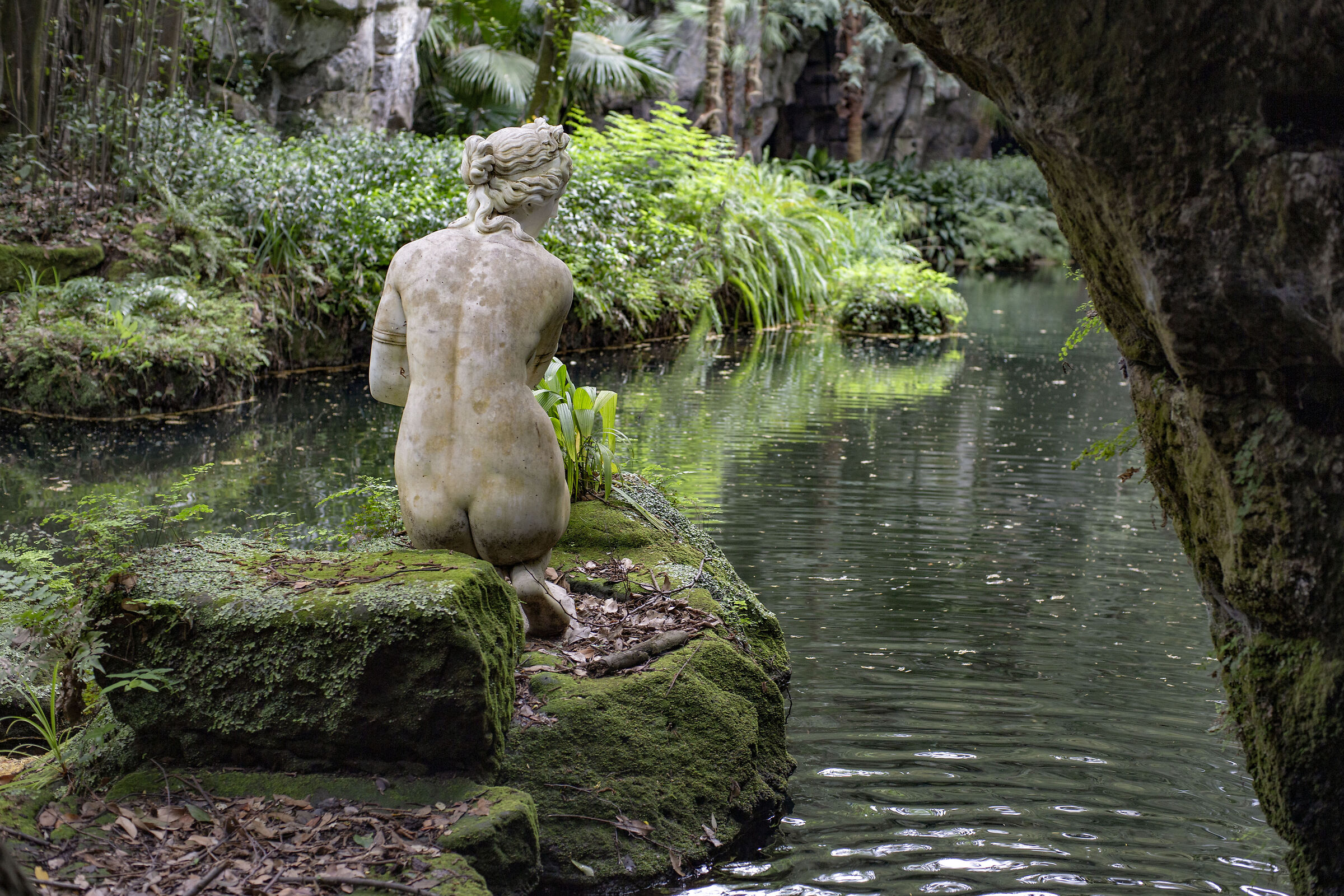 Venus, mon amour!