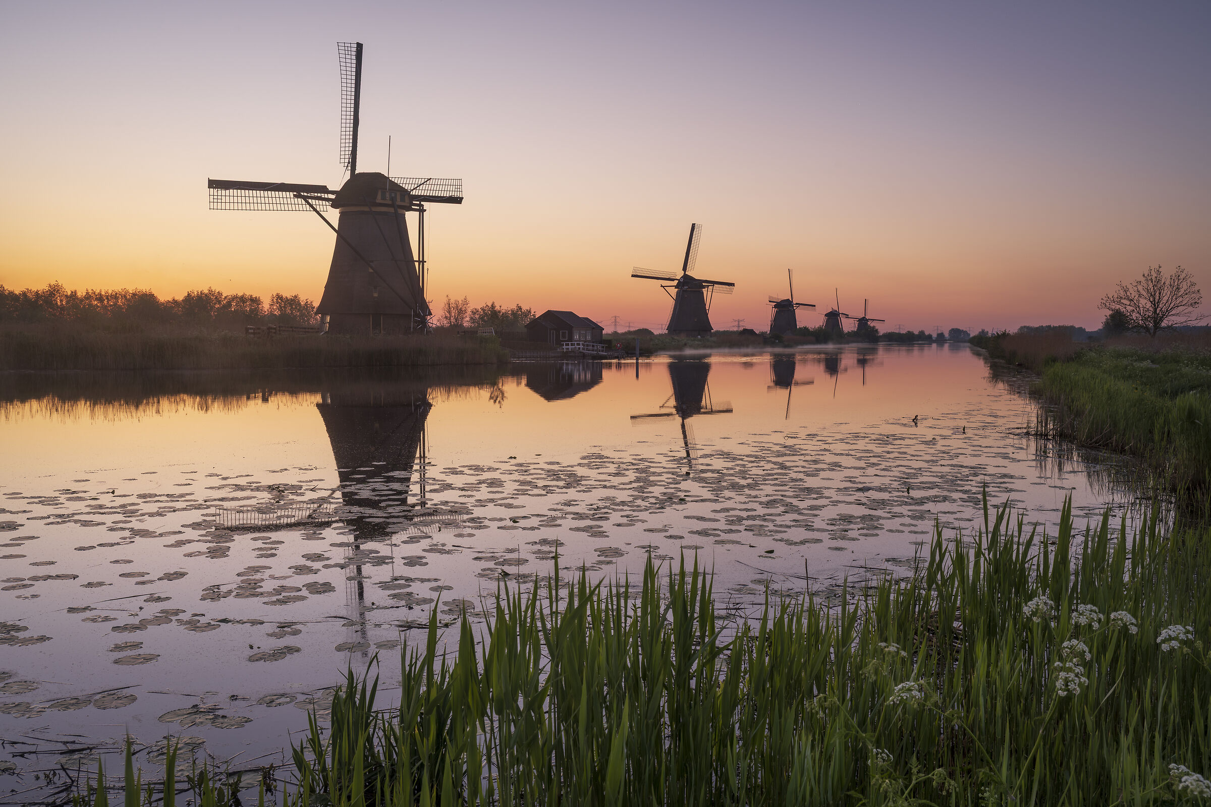 I don't have a shovel