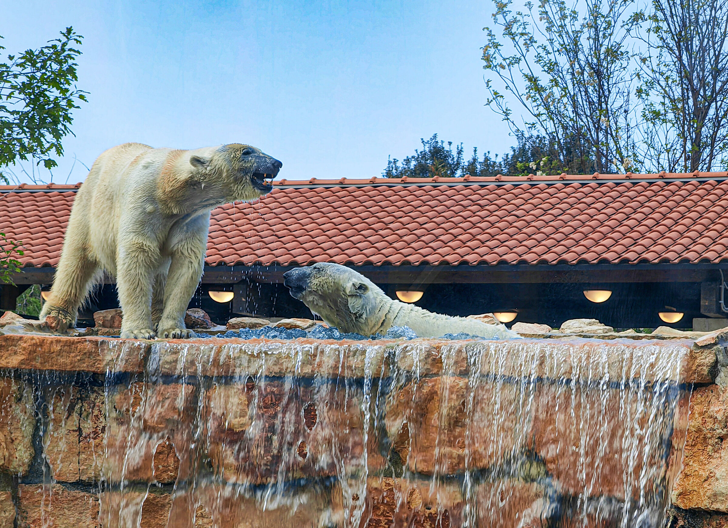Zoo di Fasano
