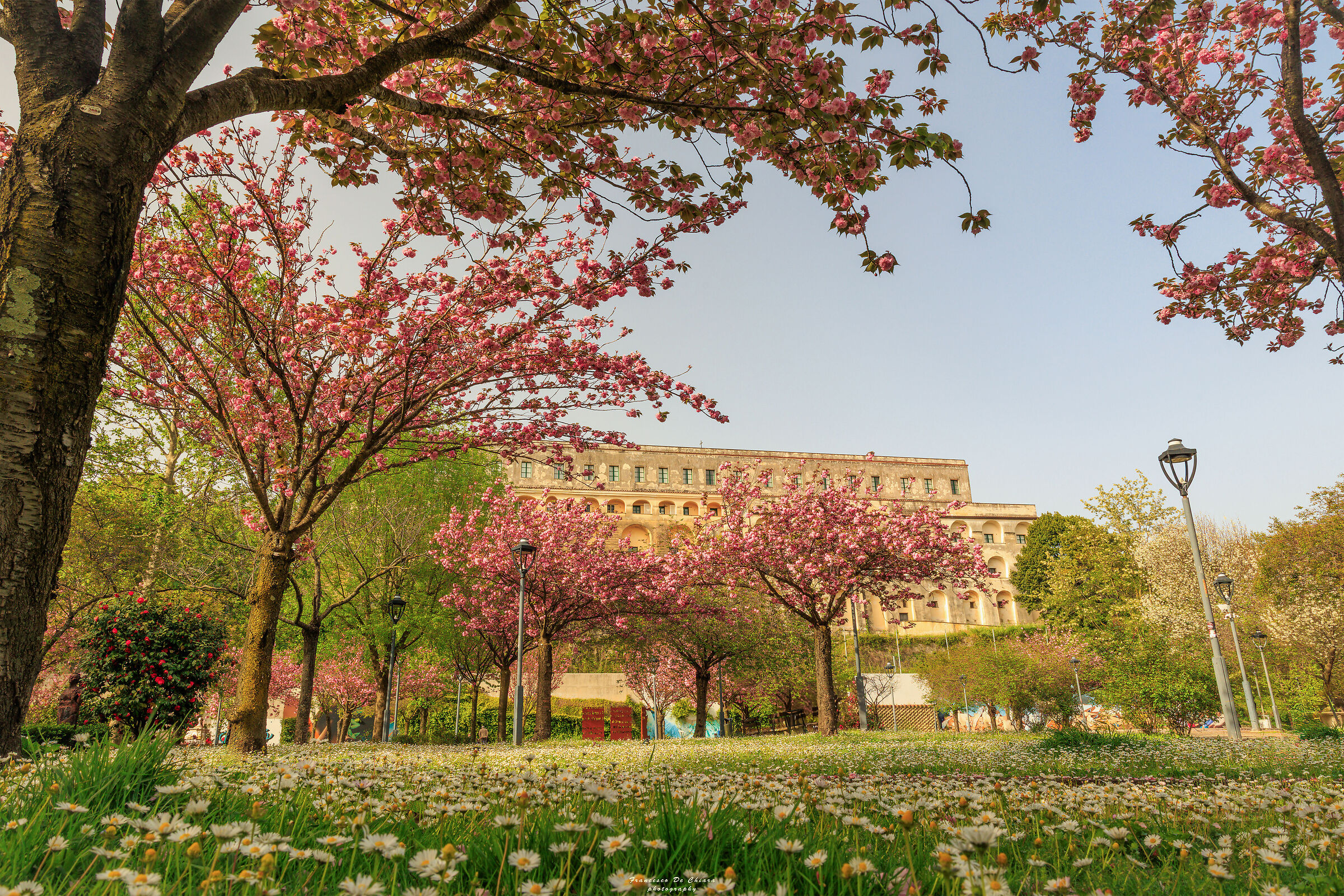 Spring