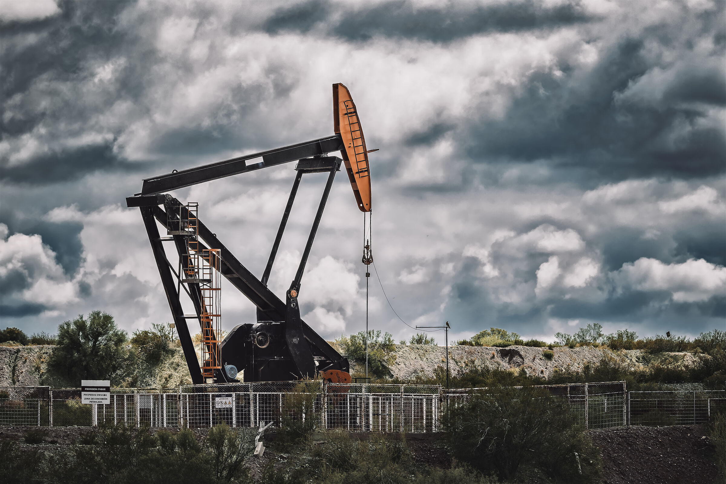 Black Gold