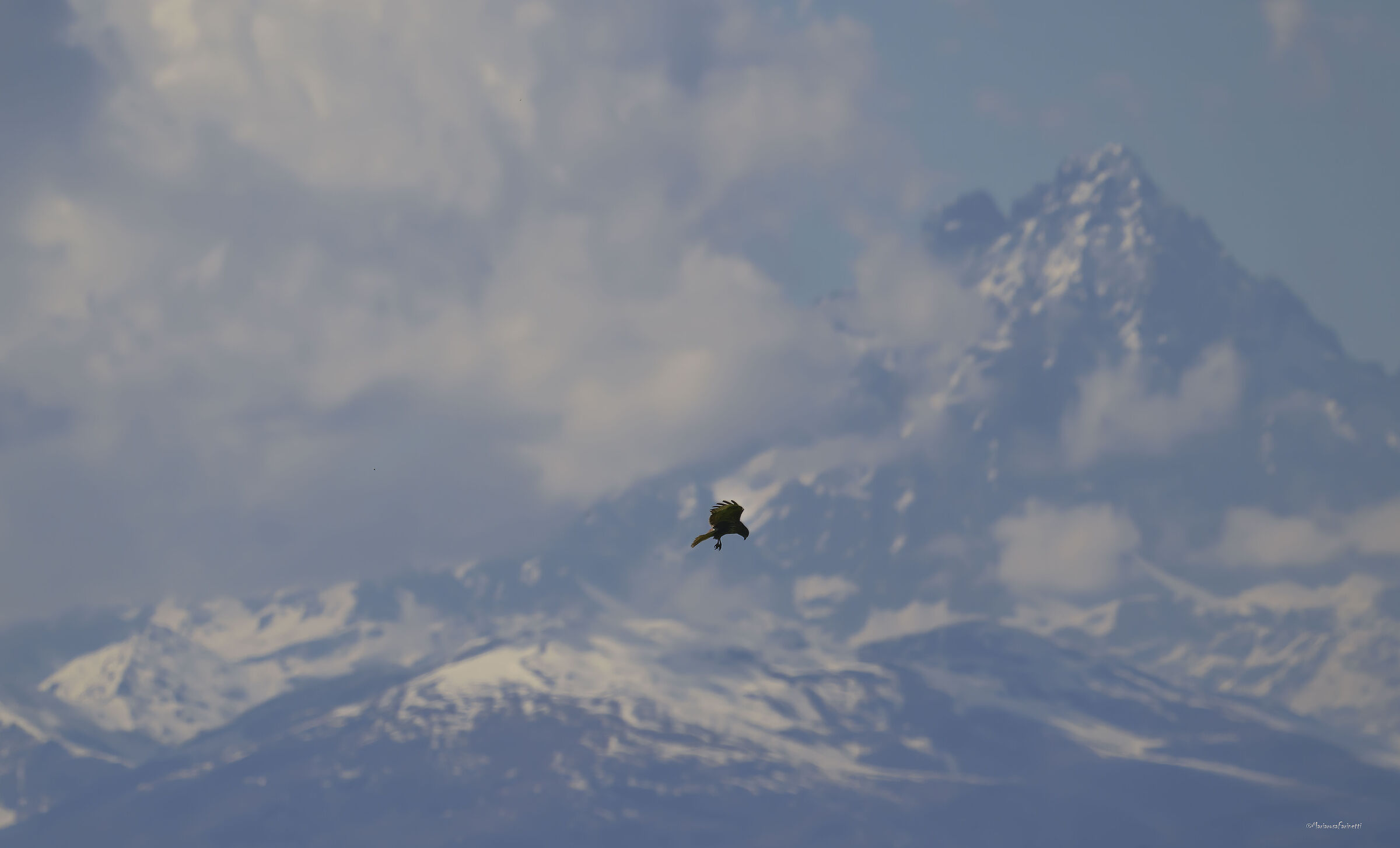 due ali per cavalcare l'infinito