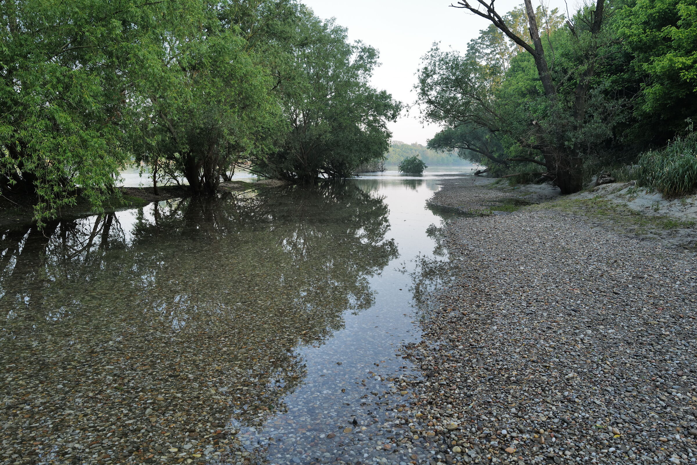 Il Ticino rientra nell'alveo