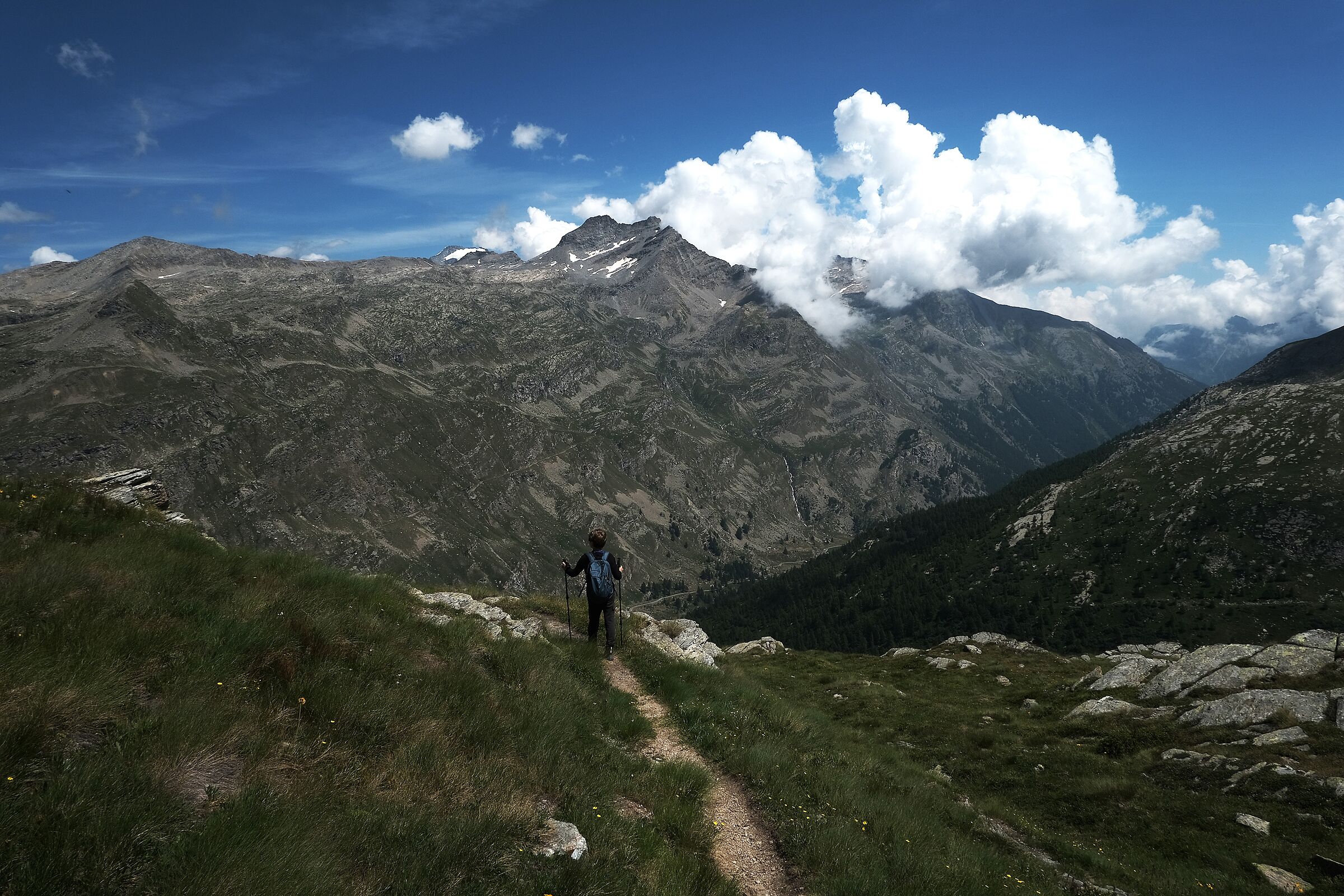 The Little Mountaineer