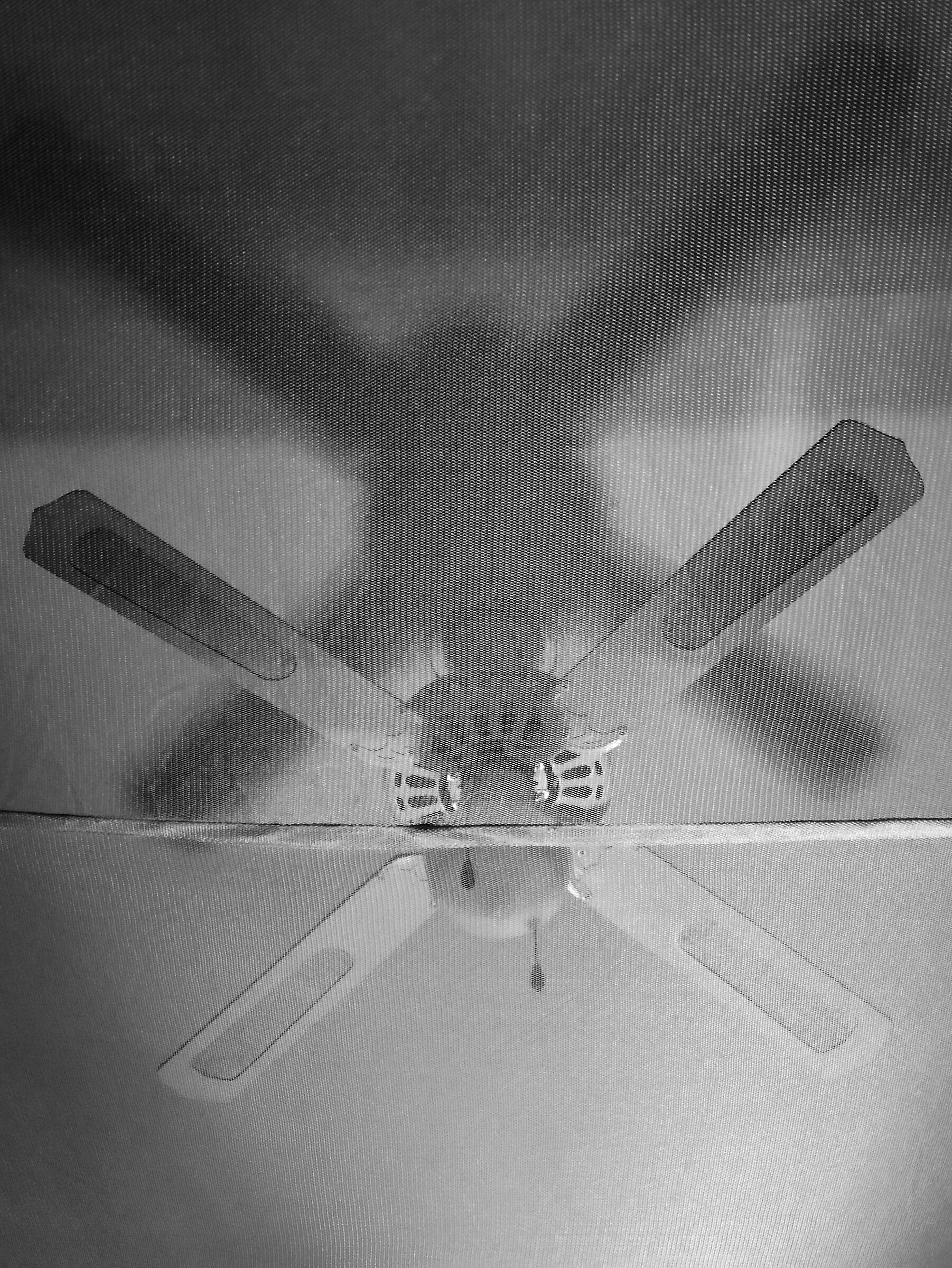 Fra poco cominceranno a girarti le pale