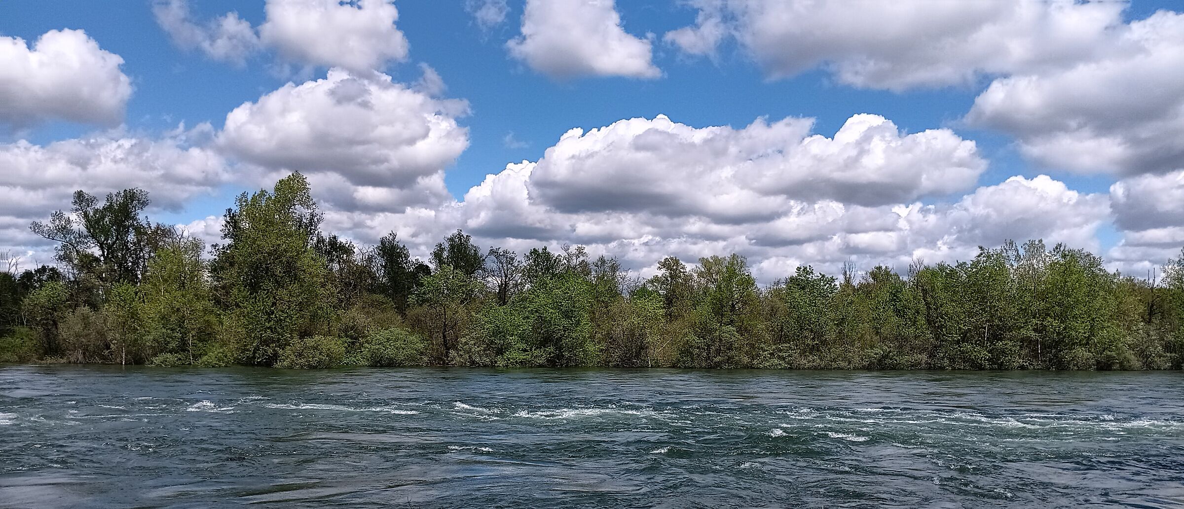 Ticino river in flood