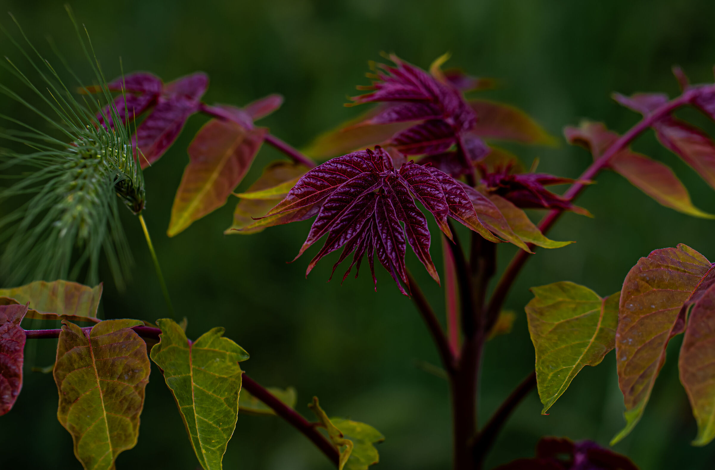 Untitled Photo
