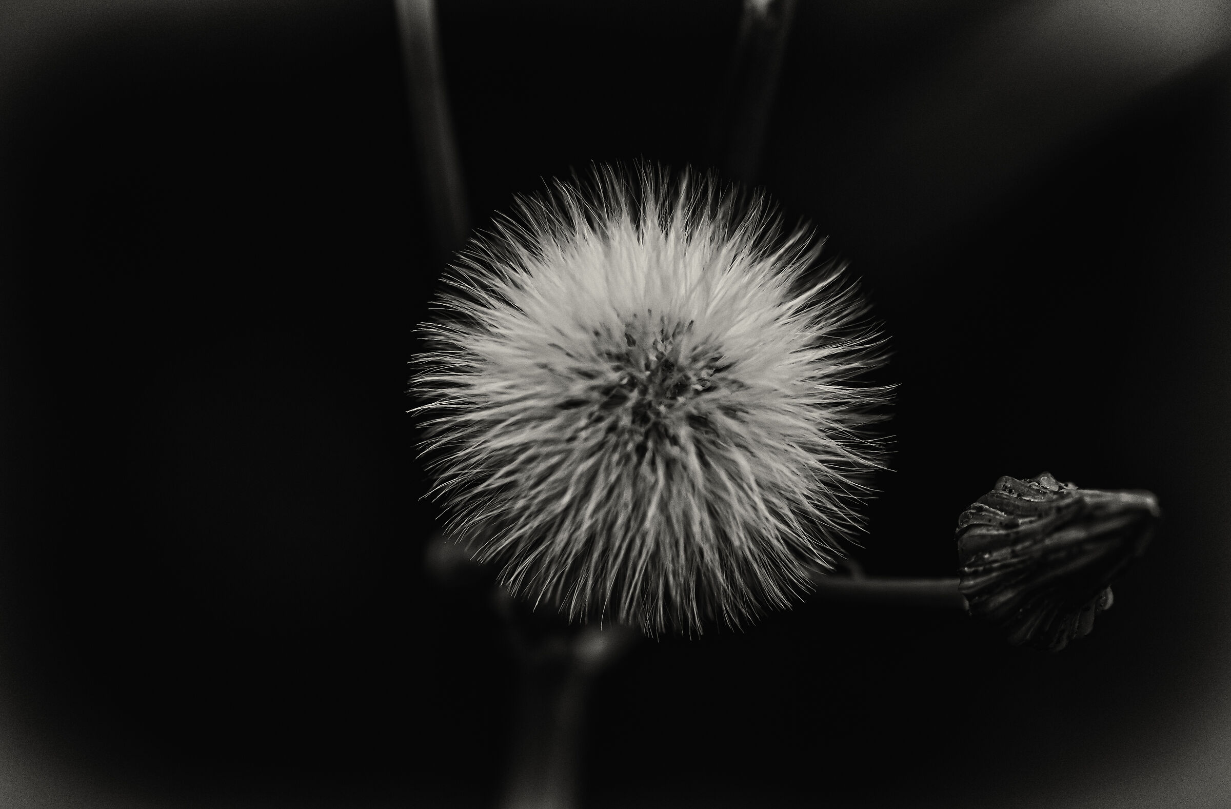 Untitled Photo
