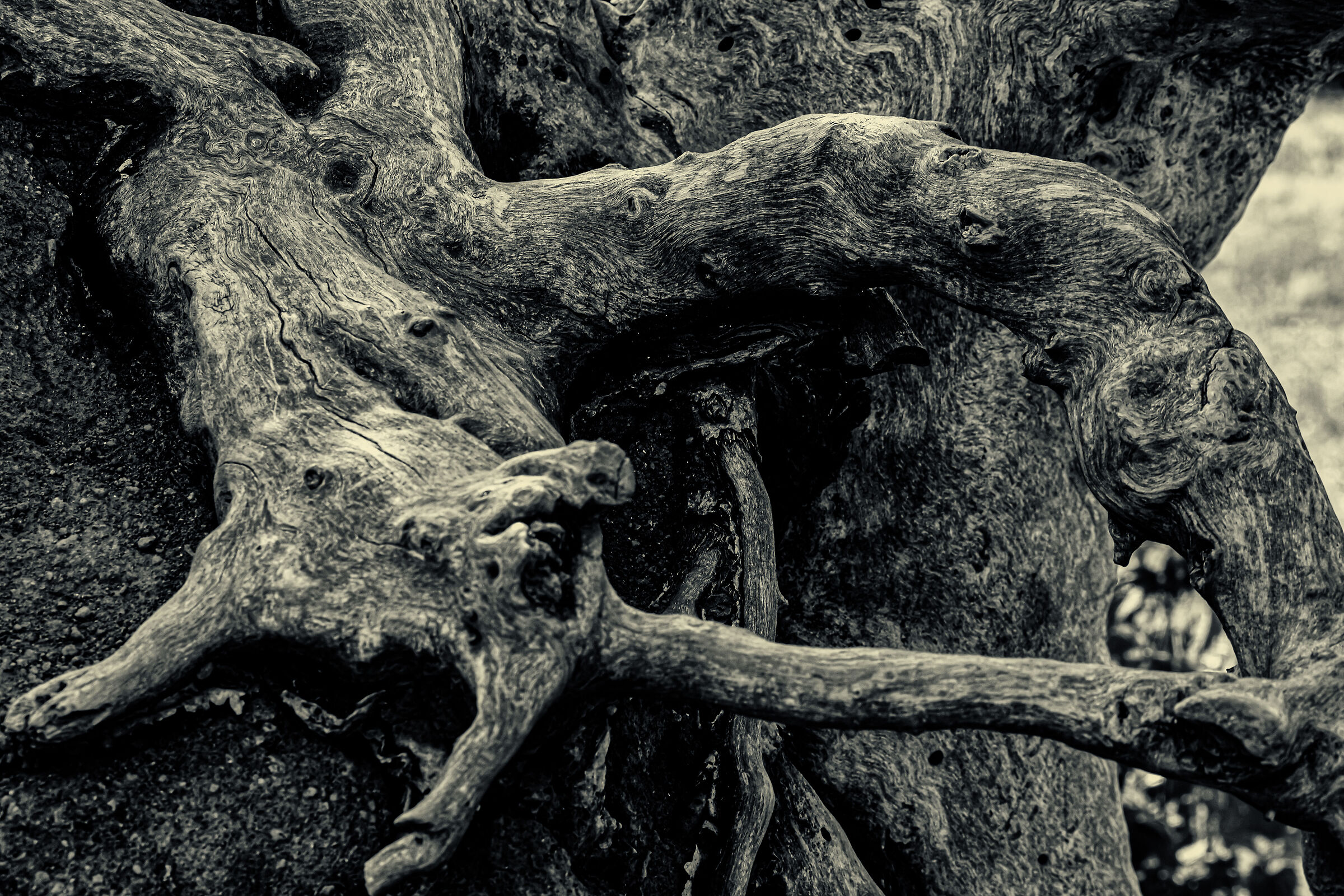 Untitled Photo