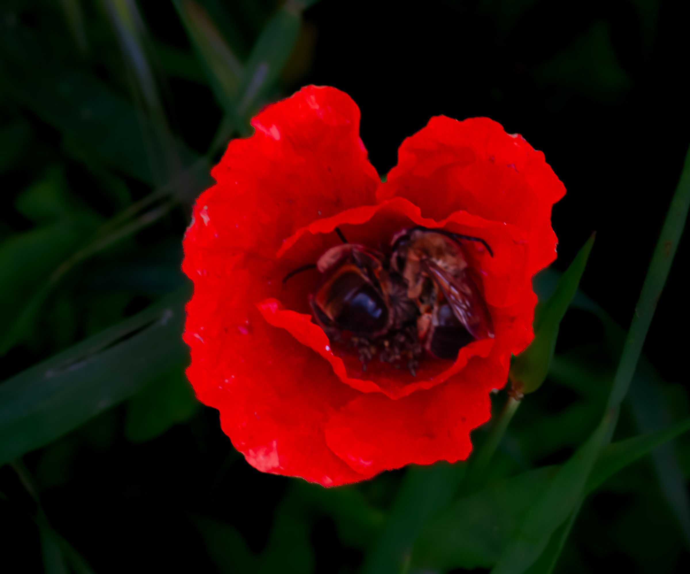 Untitled Photo