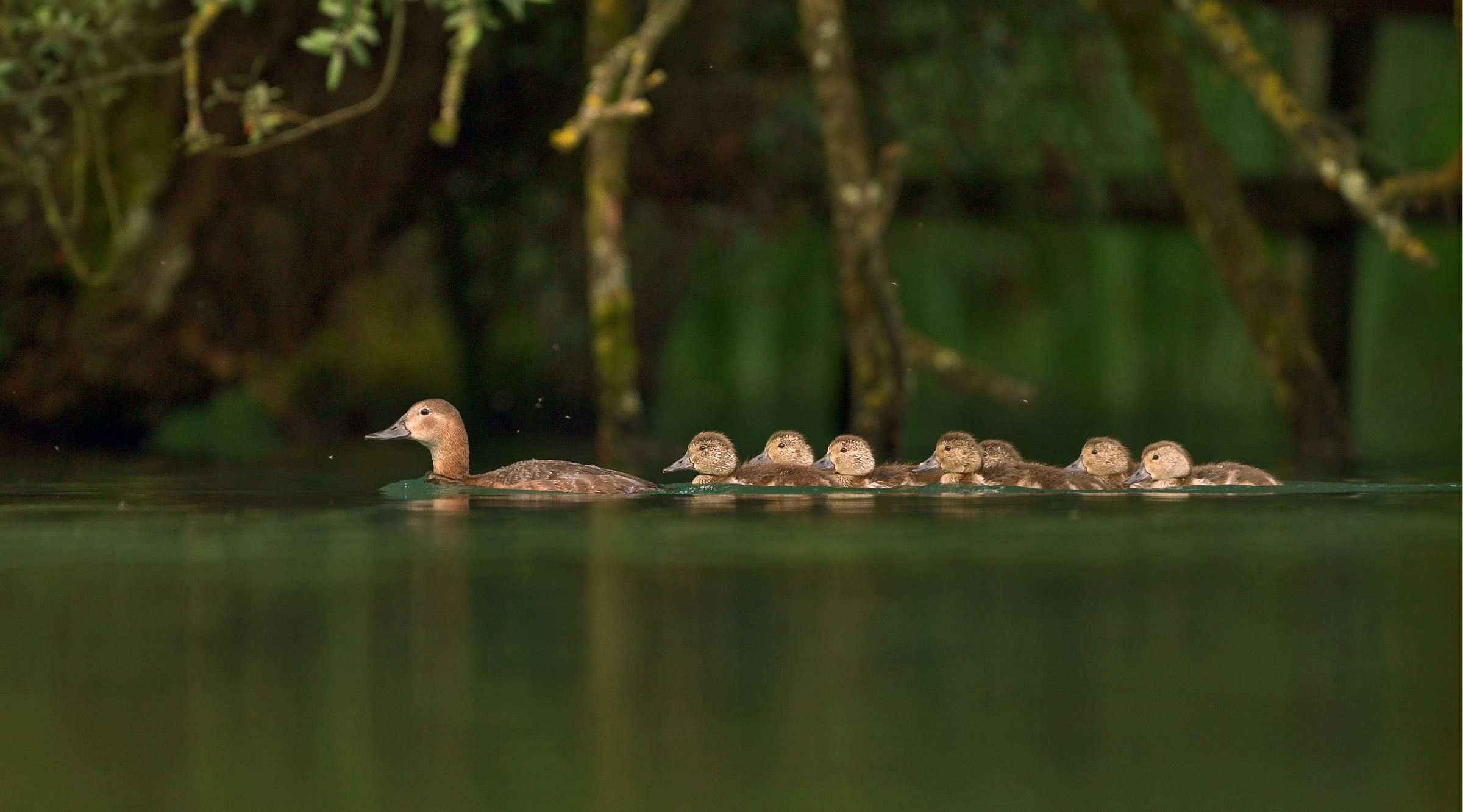mom with little ones!