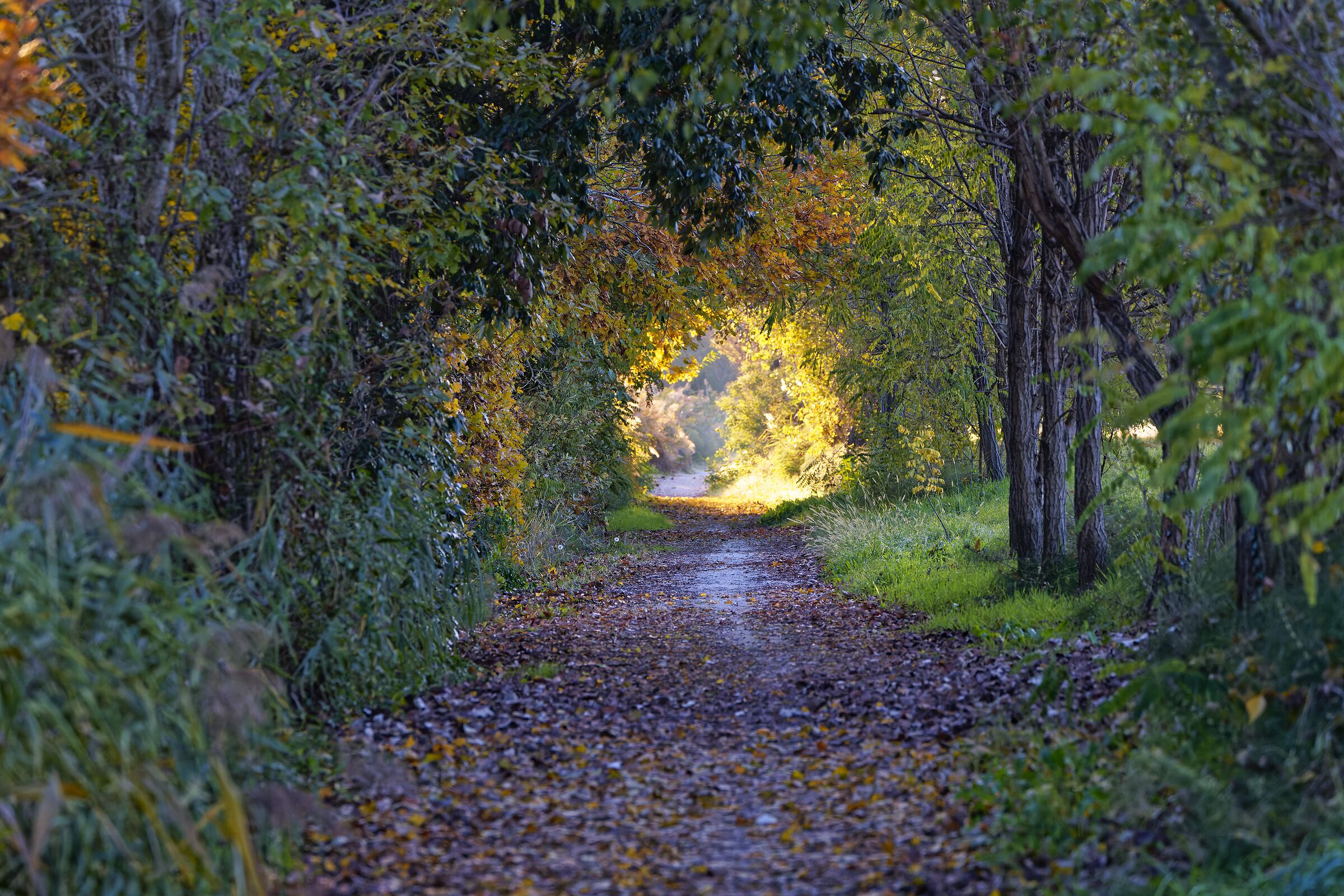 The light at the end of the tunnel