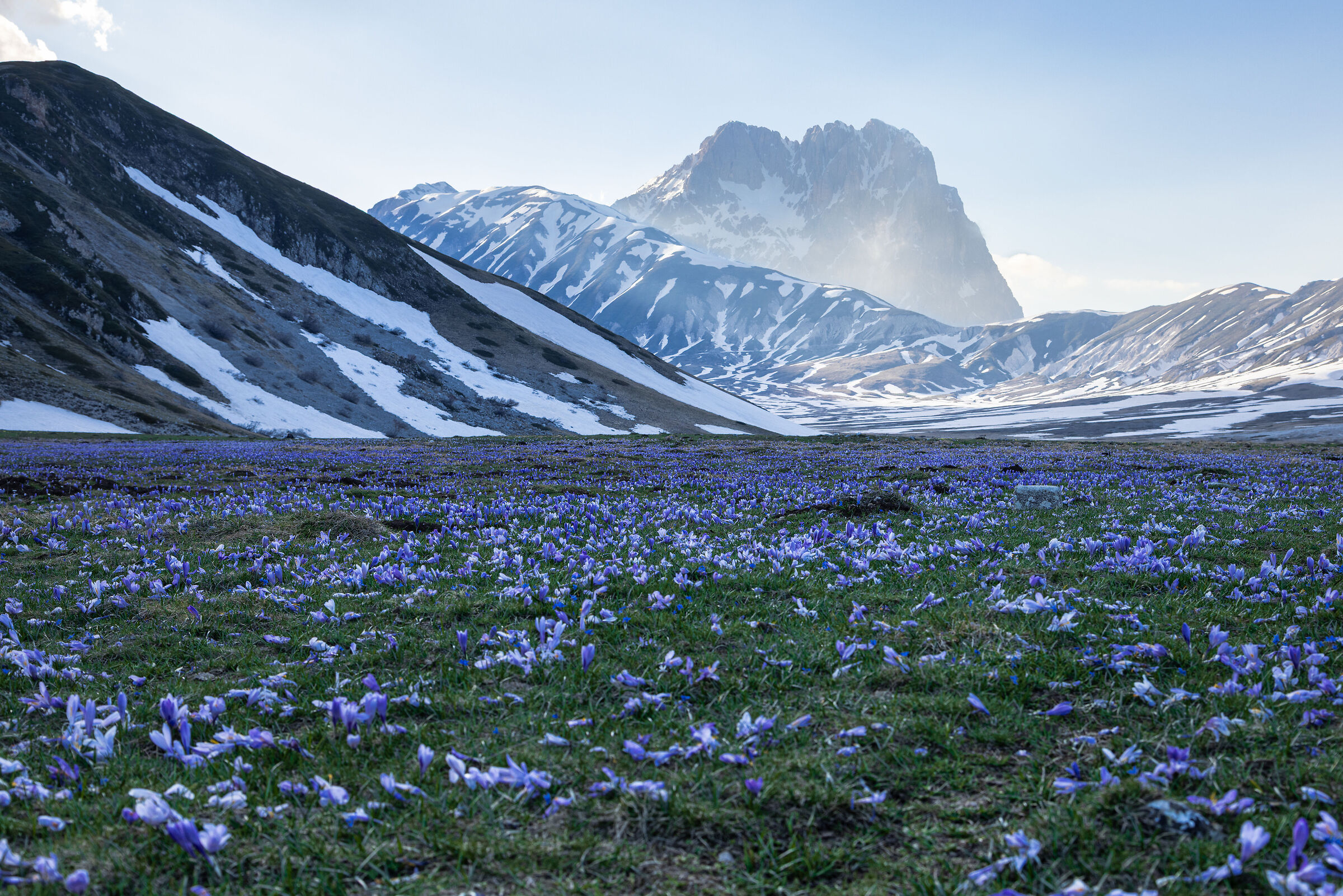 Gran Sasso e la fioritura dei crocus