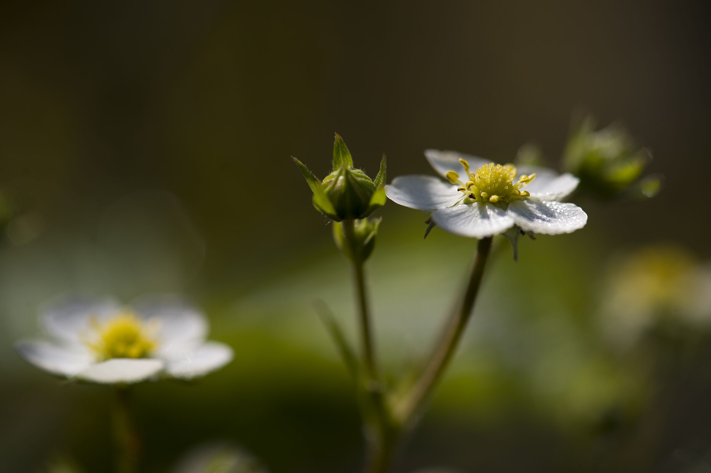 A few rays of sunshine