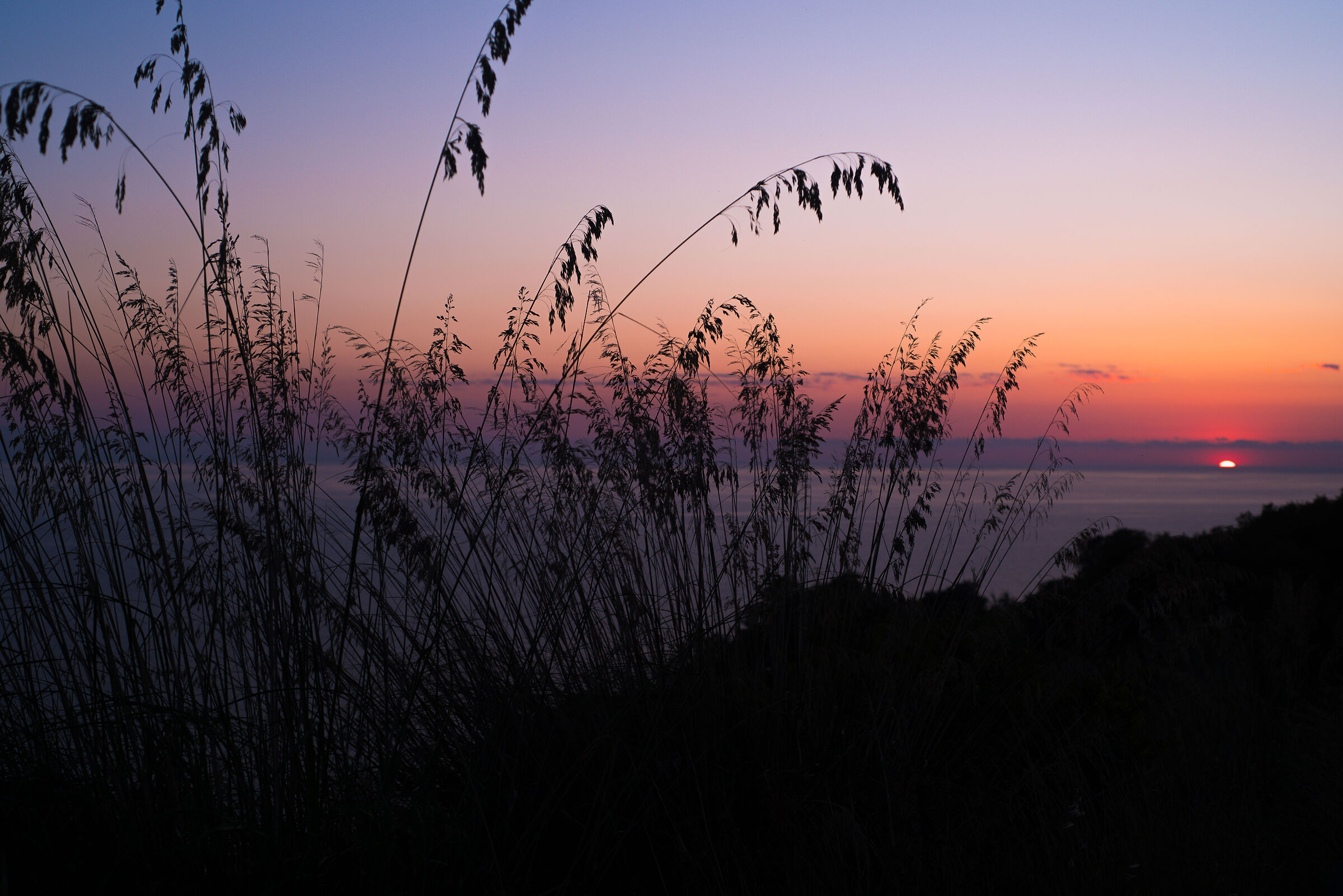 Sunset vs. North-west