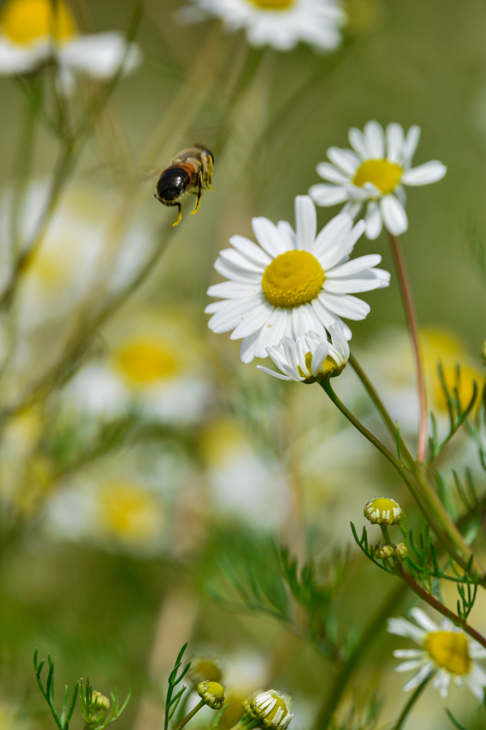 Ti prendo e poi vado via!