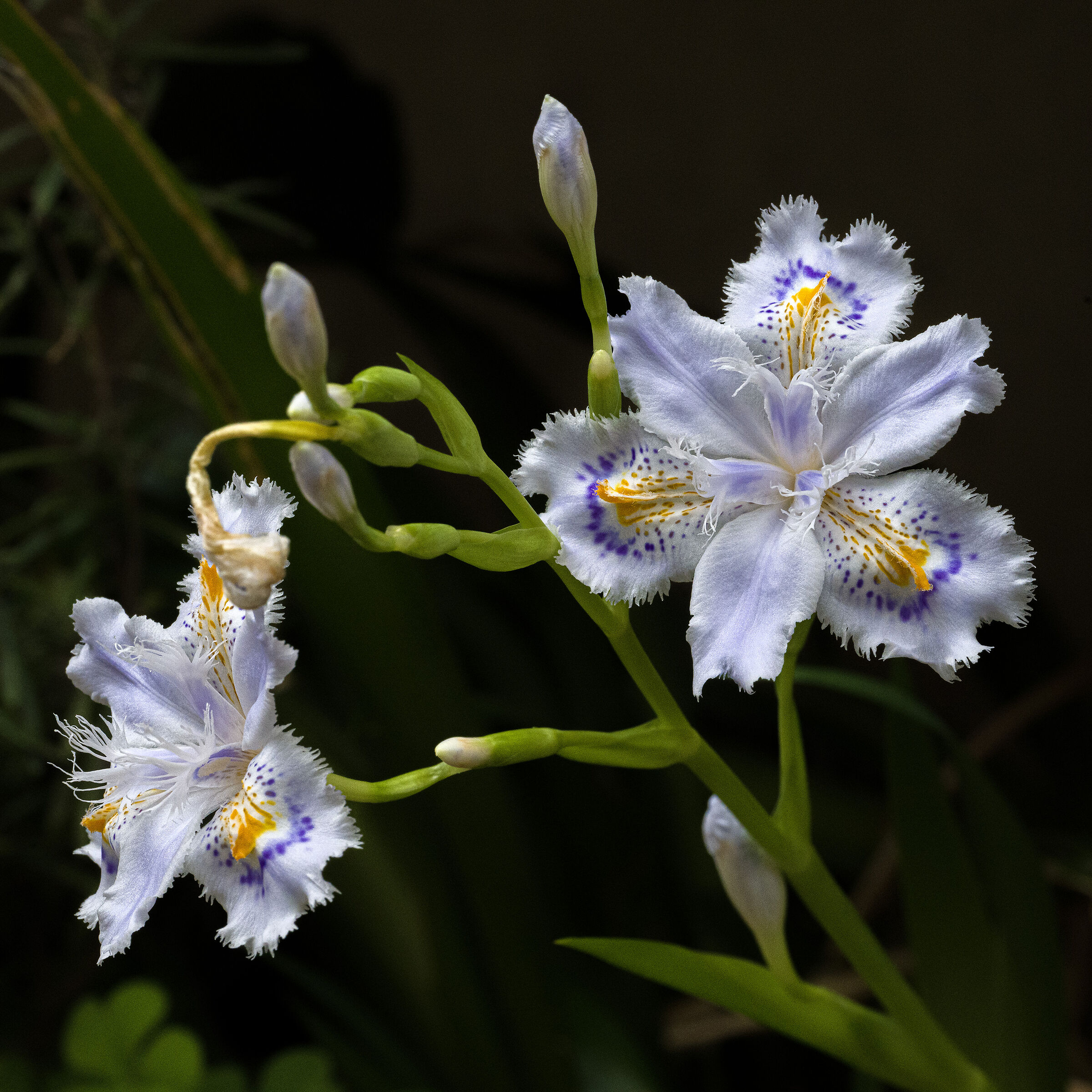 Untitled Photo