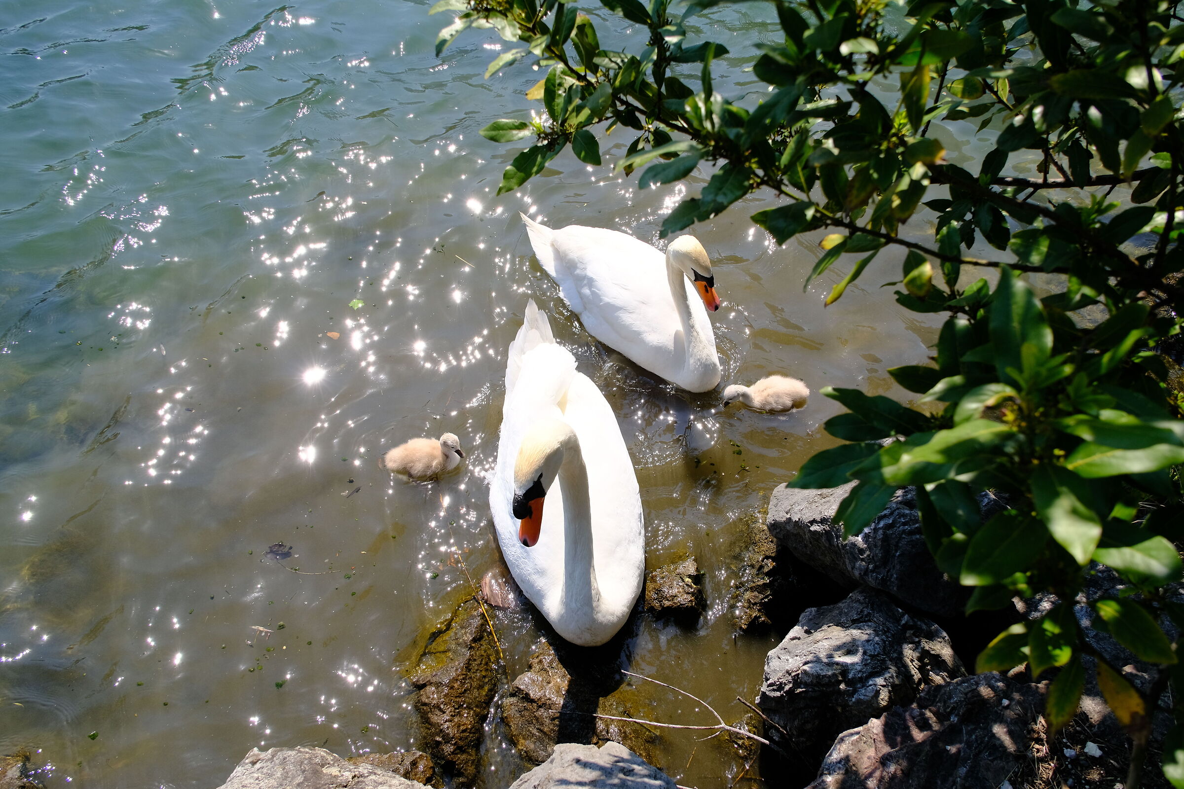 Untitled Photo