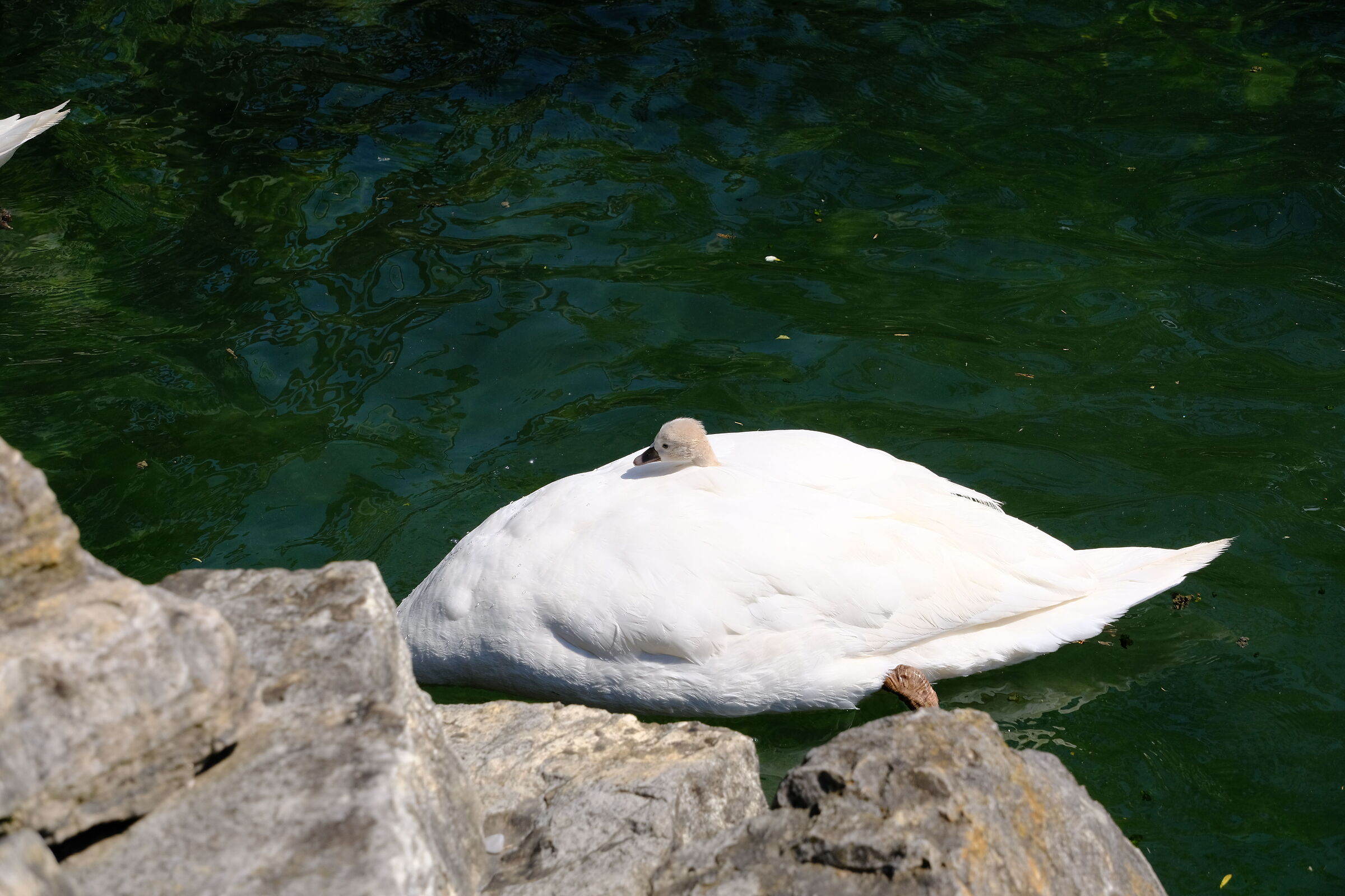 Untitled Photo