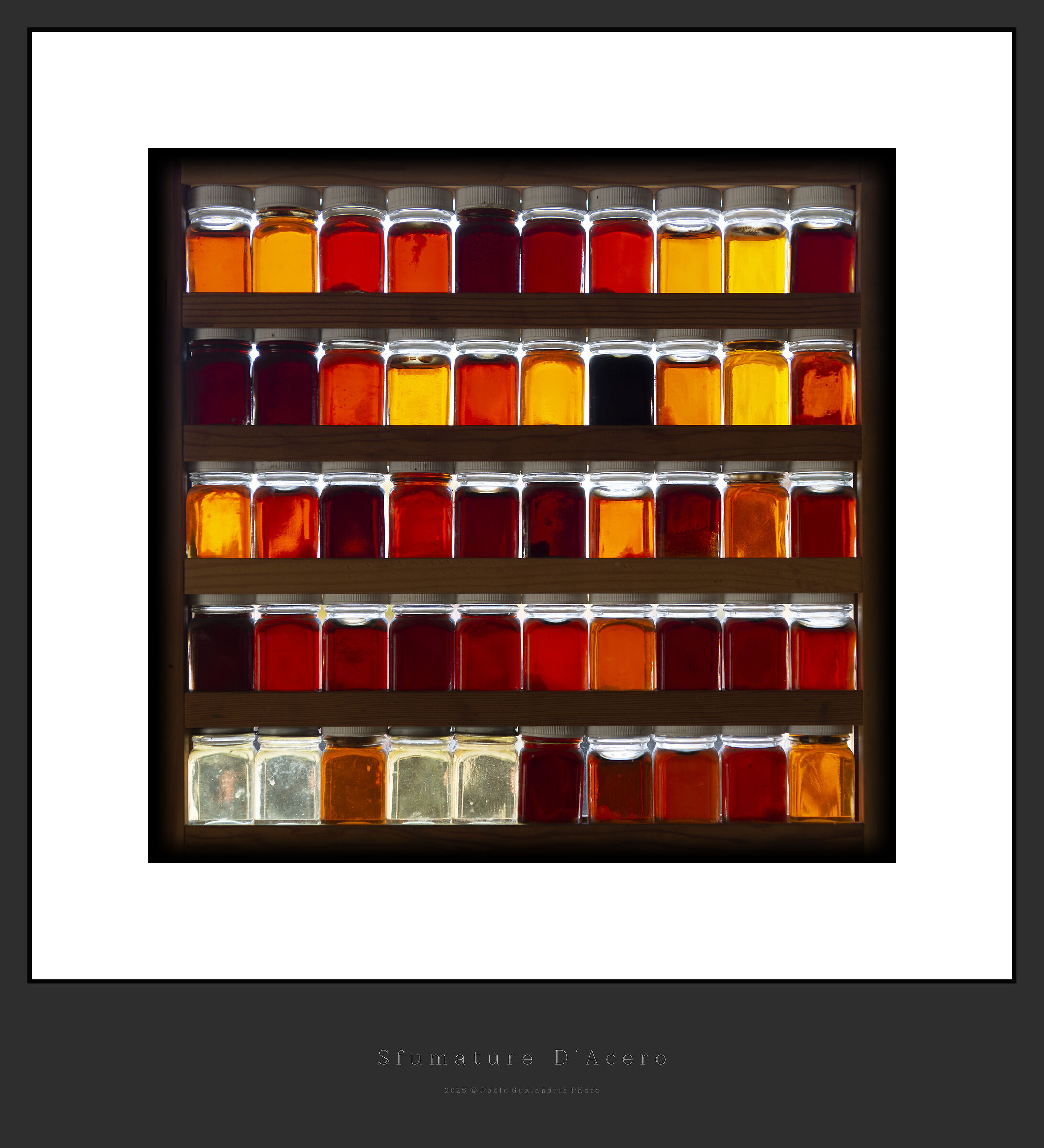 Maple Shades