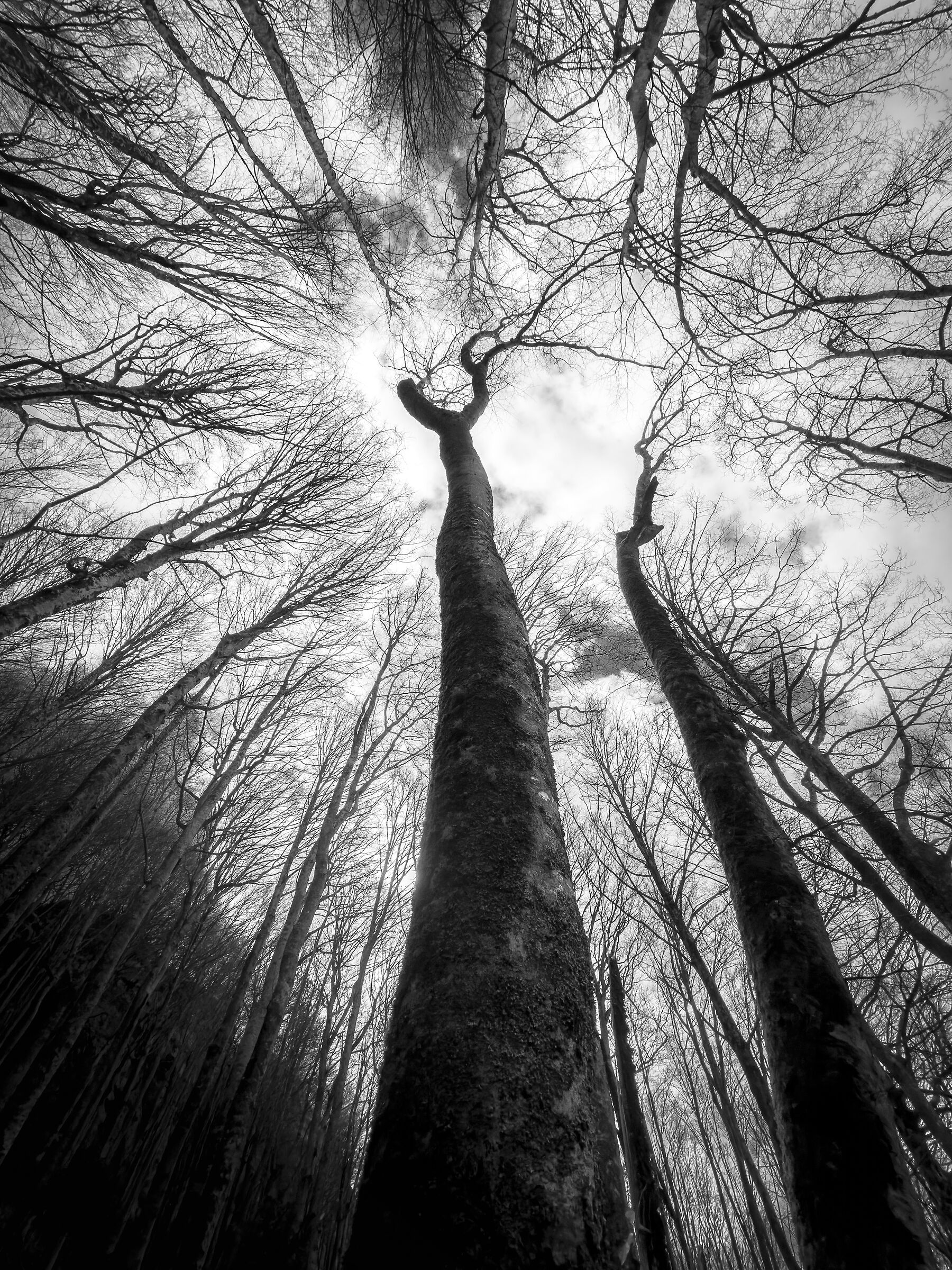 Between land and infinity