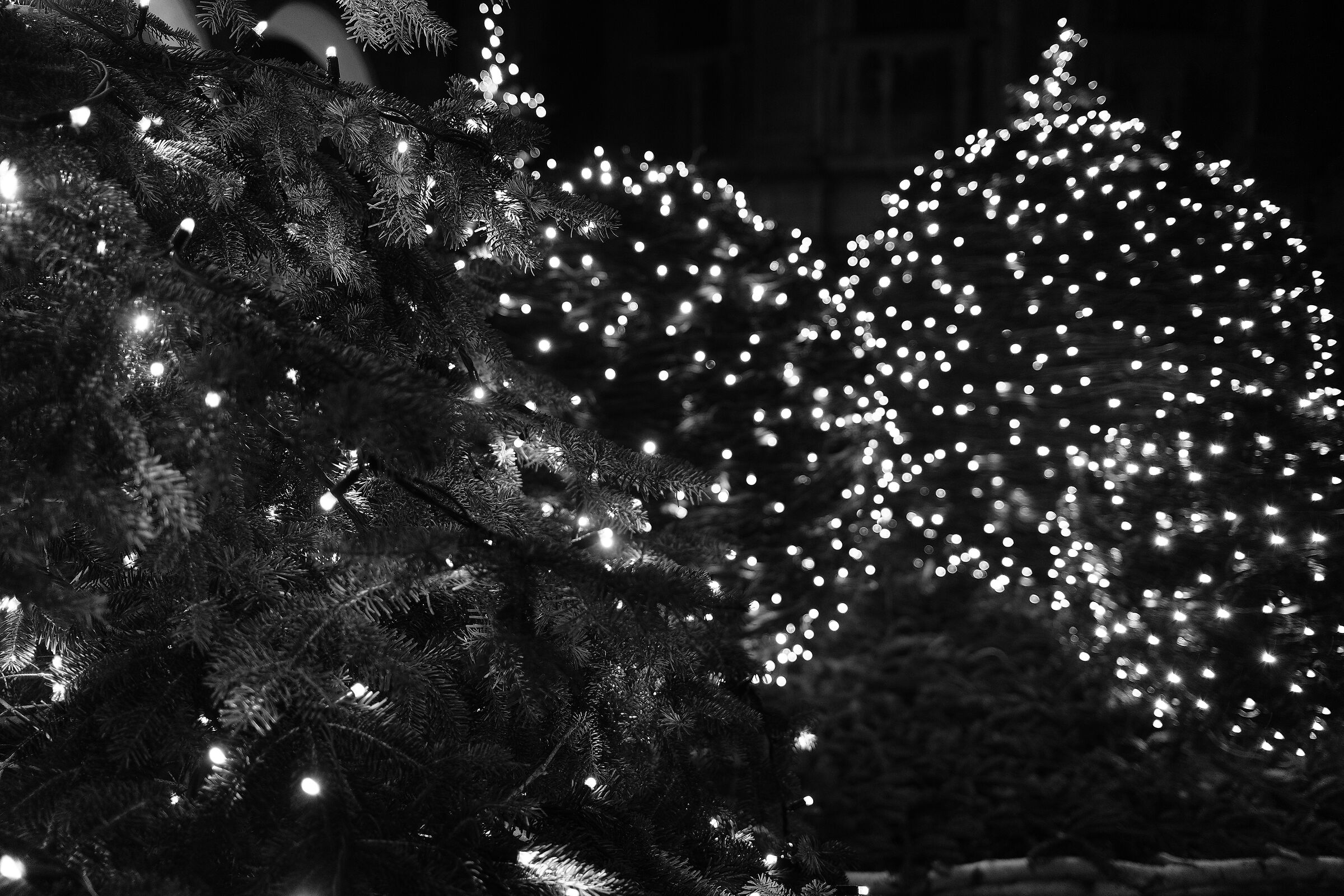 Prime luci di Natale