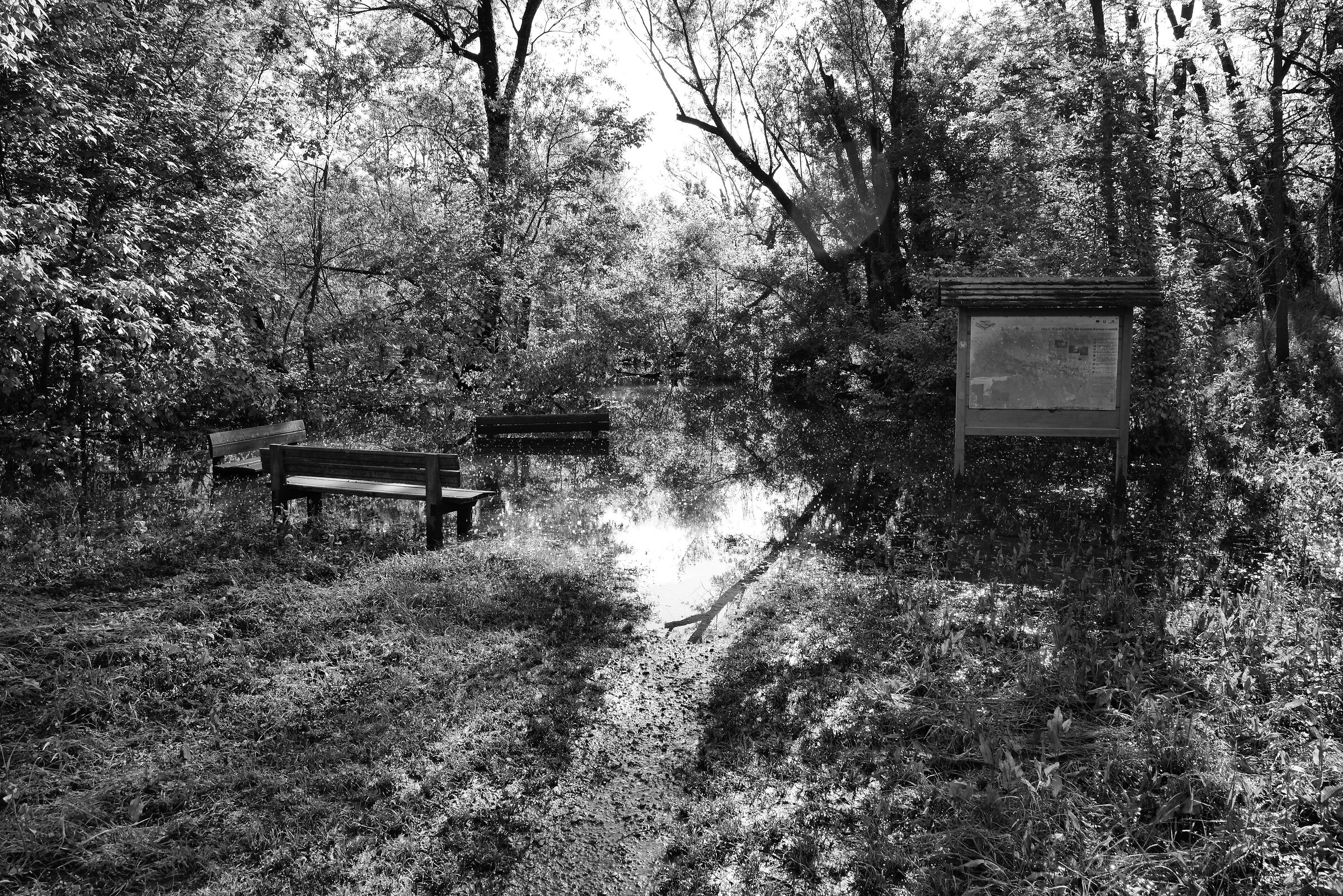 il sentiero è allagato: per oggi si torna indietro