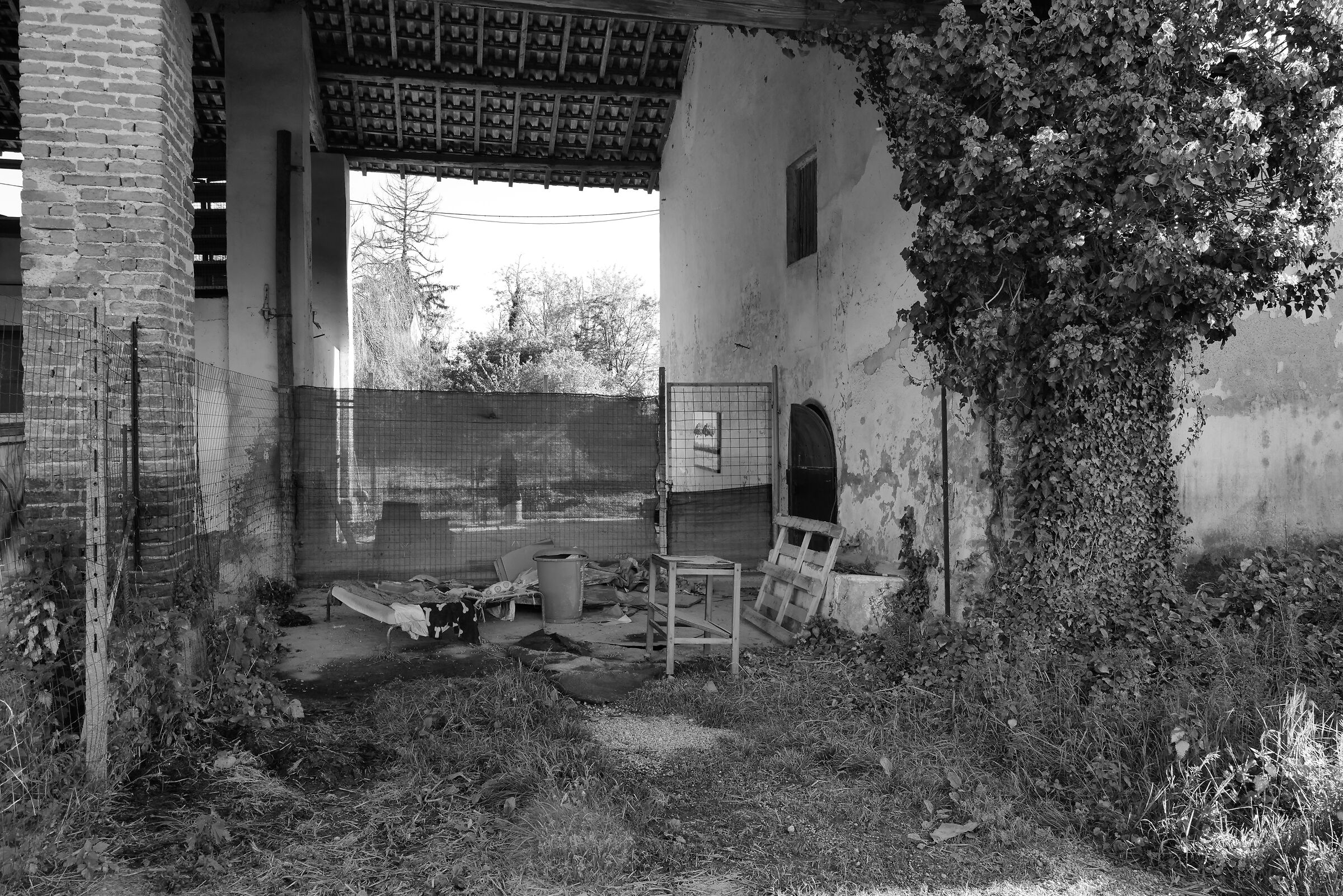 B&B Last Minute alla Cascina Mezzana