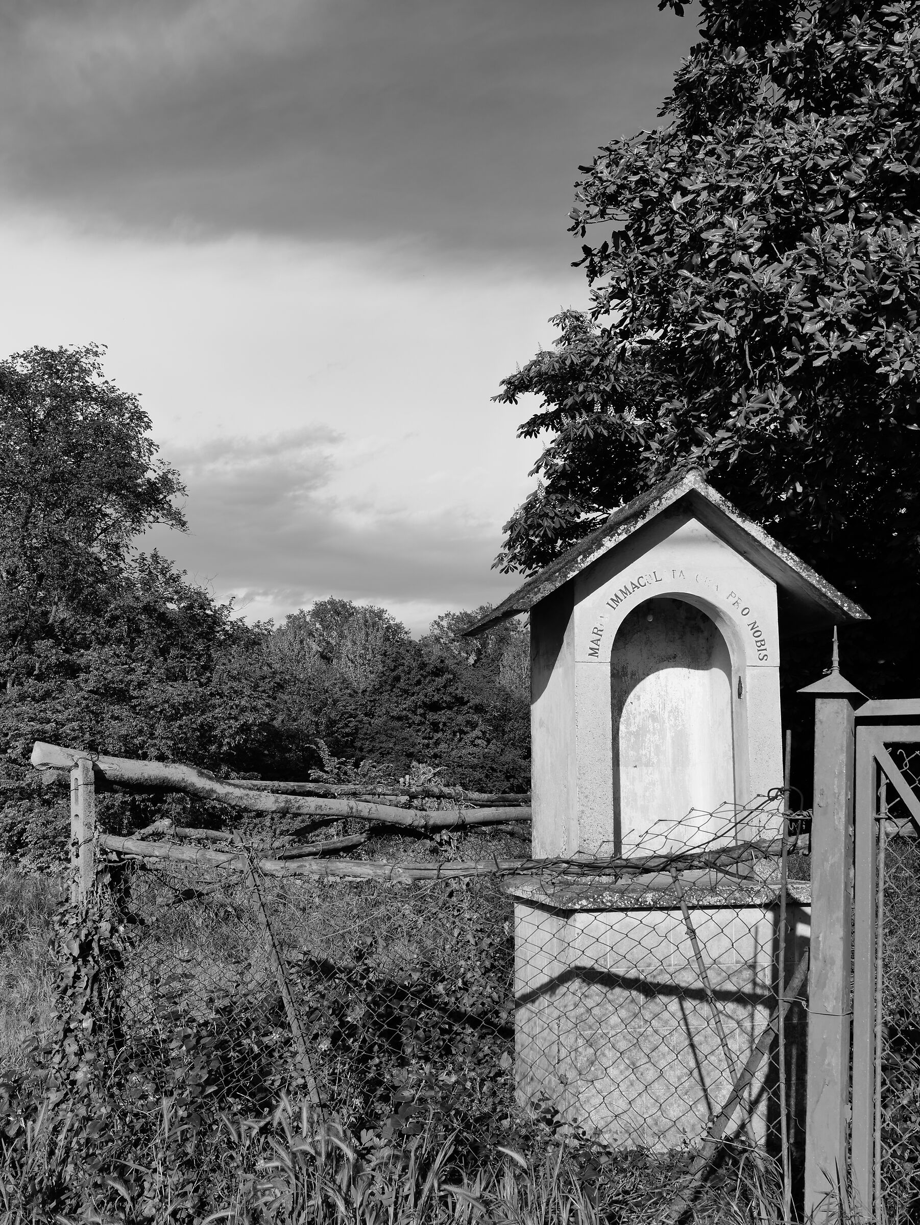 Furto alla Costa Caroliana